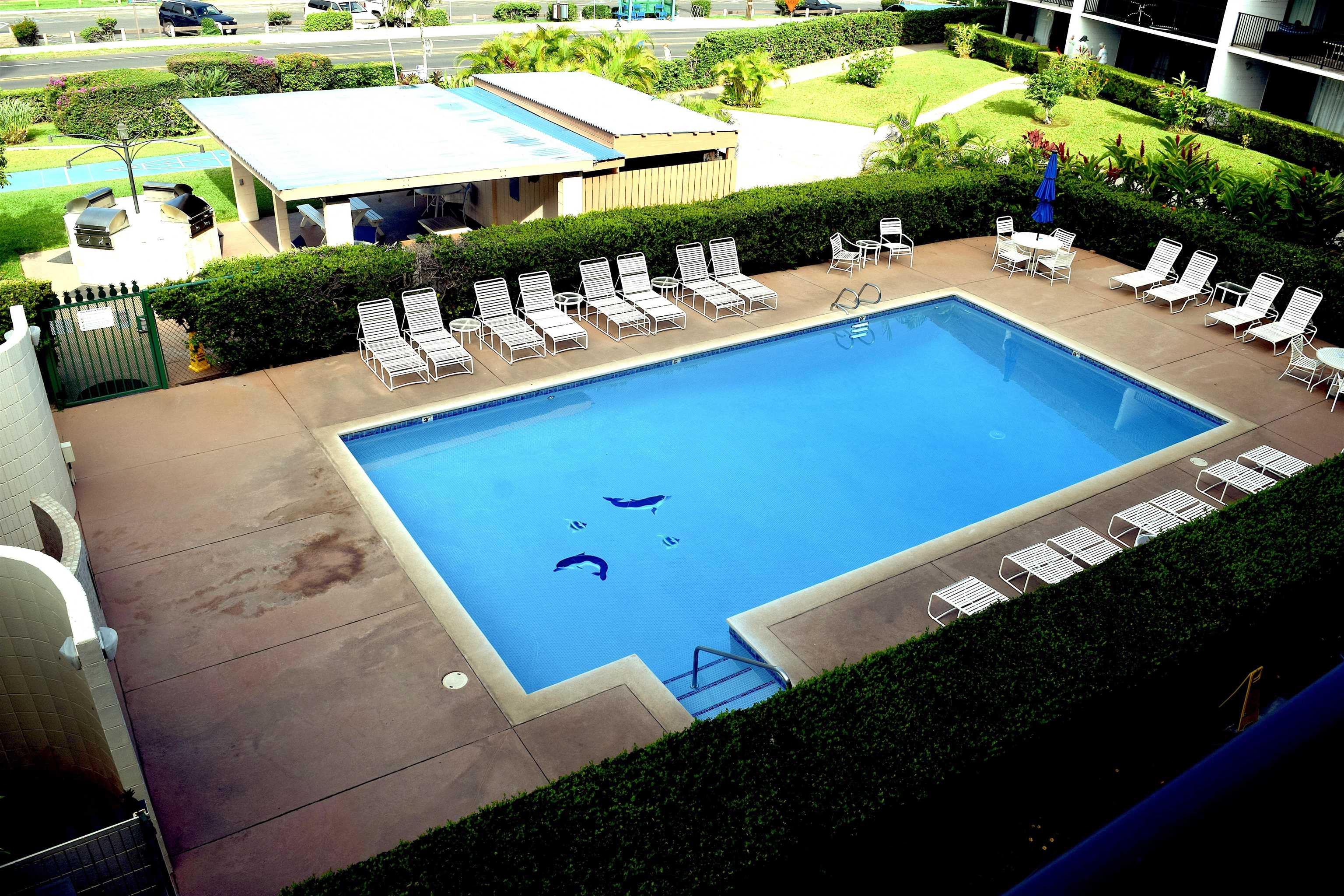 Maui Parkshore condo # 309, Kihei, Hawaii - photo 9 of 29