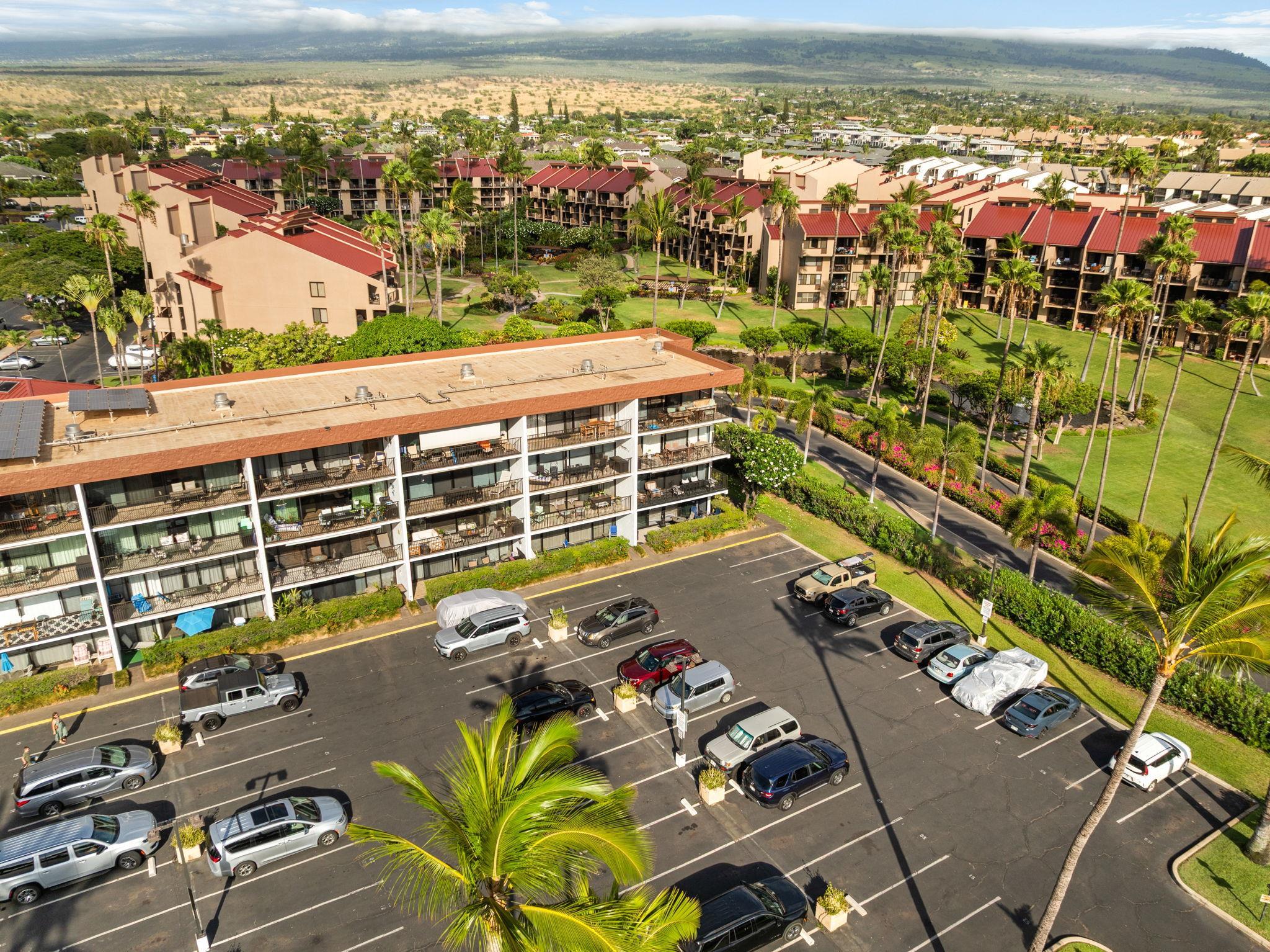 Maui Parkshore condo # 309, Kihei, Hawaii - photo 10 of 24