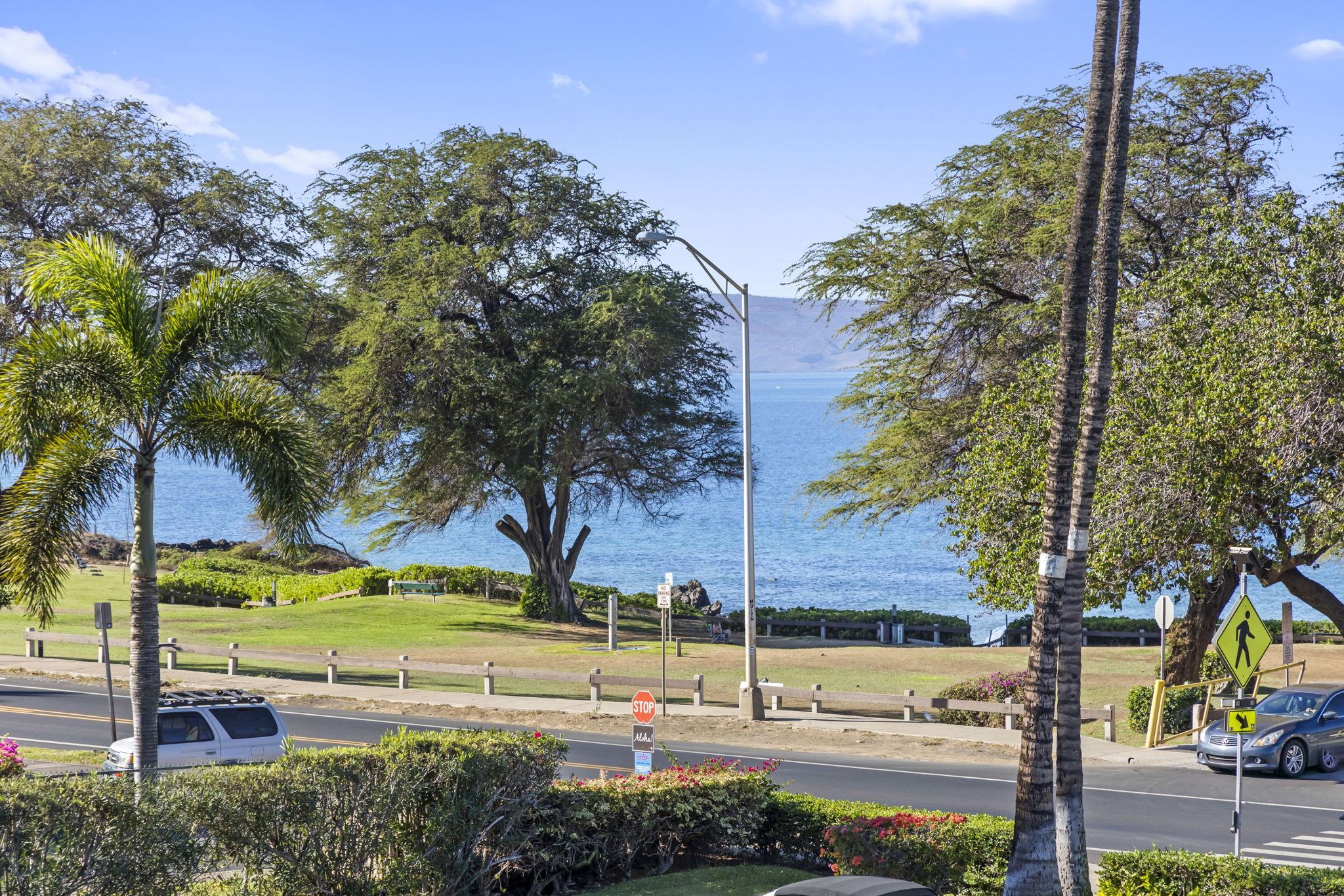 Maui Parkshore condo # 313, Kihei, Hawaii - photo 38 of 50