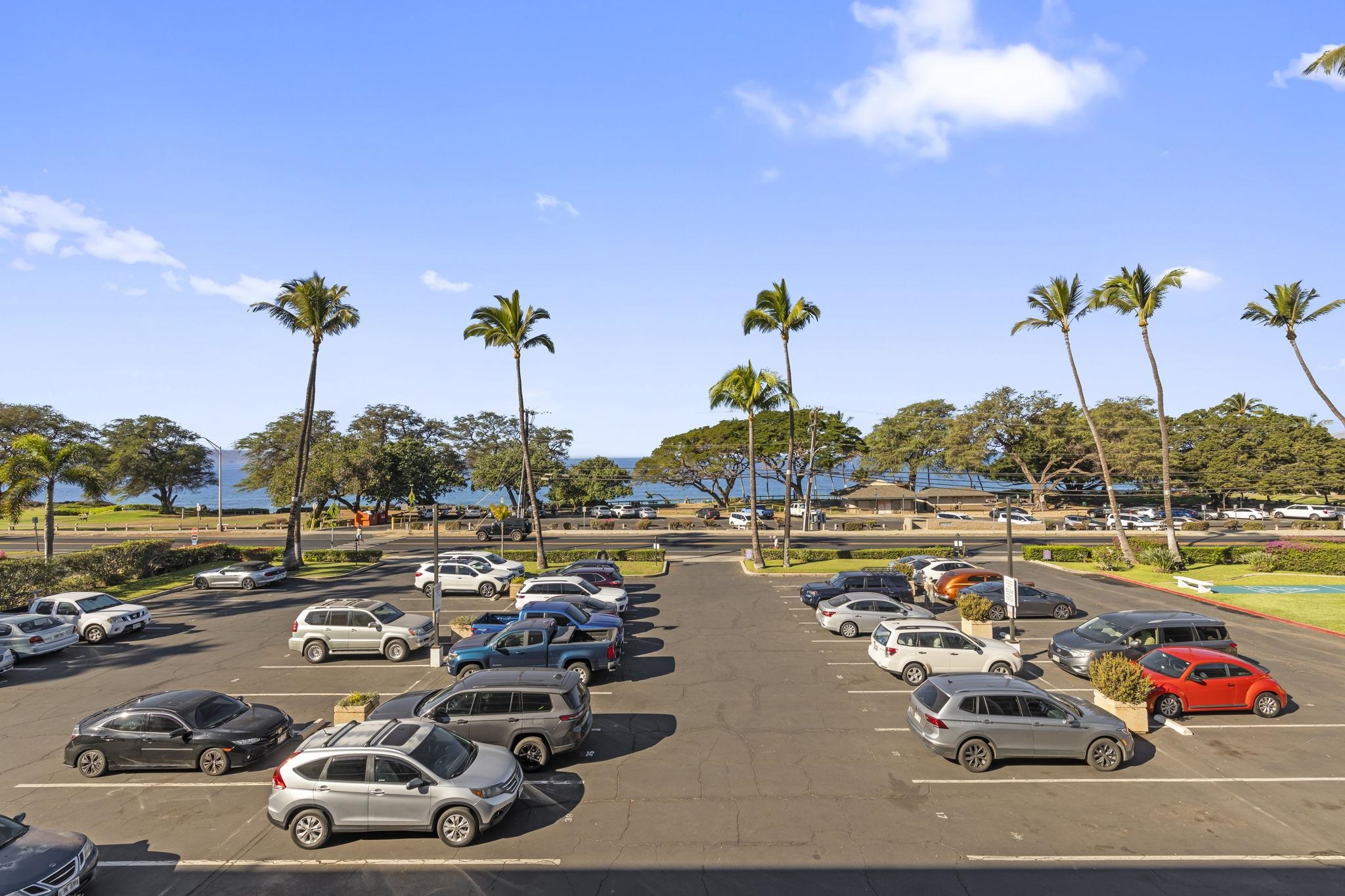 Maui Parkshore condo # 313, Kihei, Hawaii - photo 40 of 50