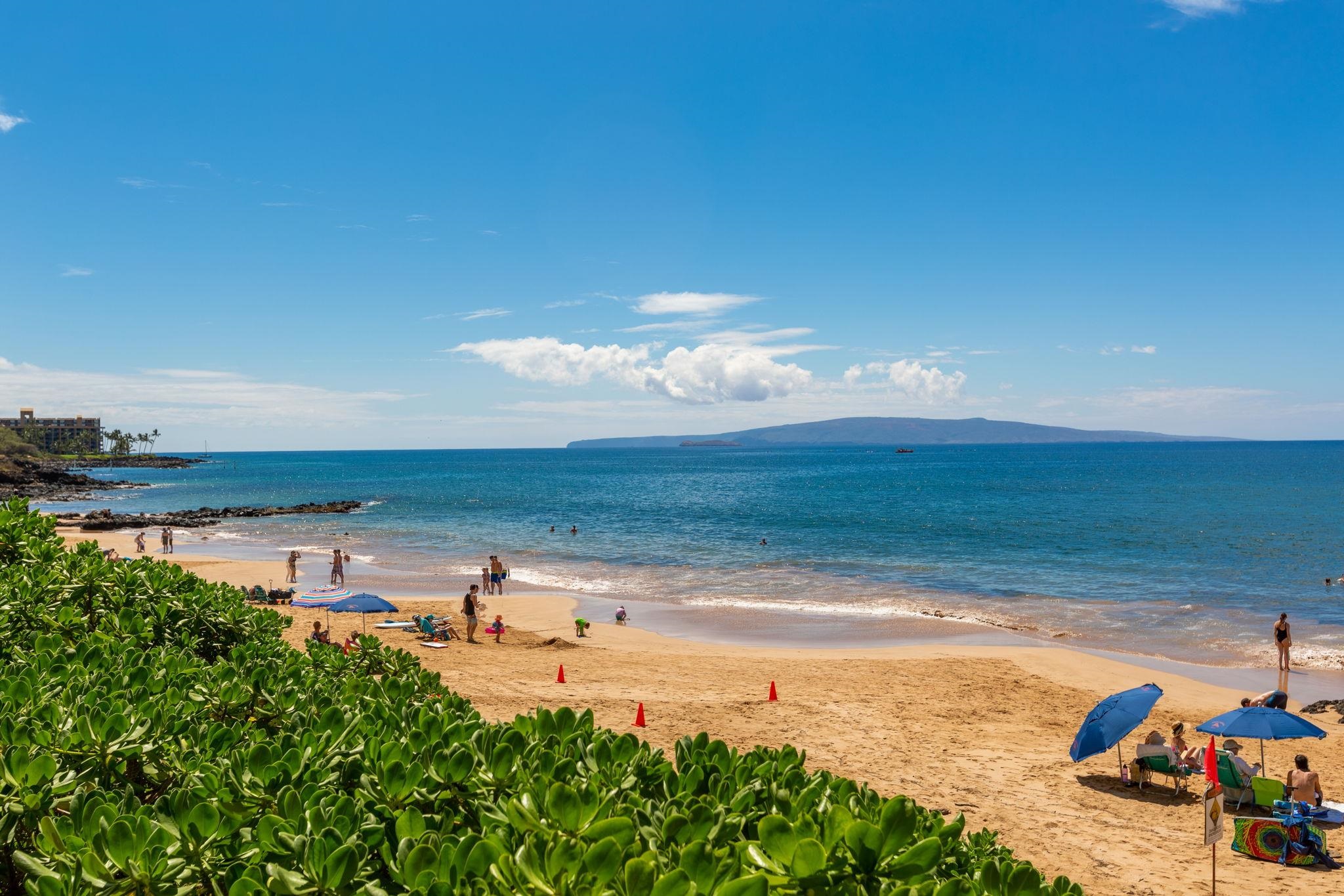 Maui Parkshore condo # 313, Kihei, Hawaii - photo 45 of 50