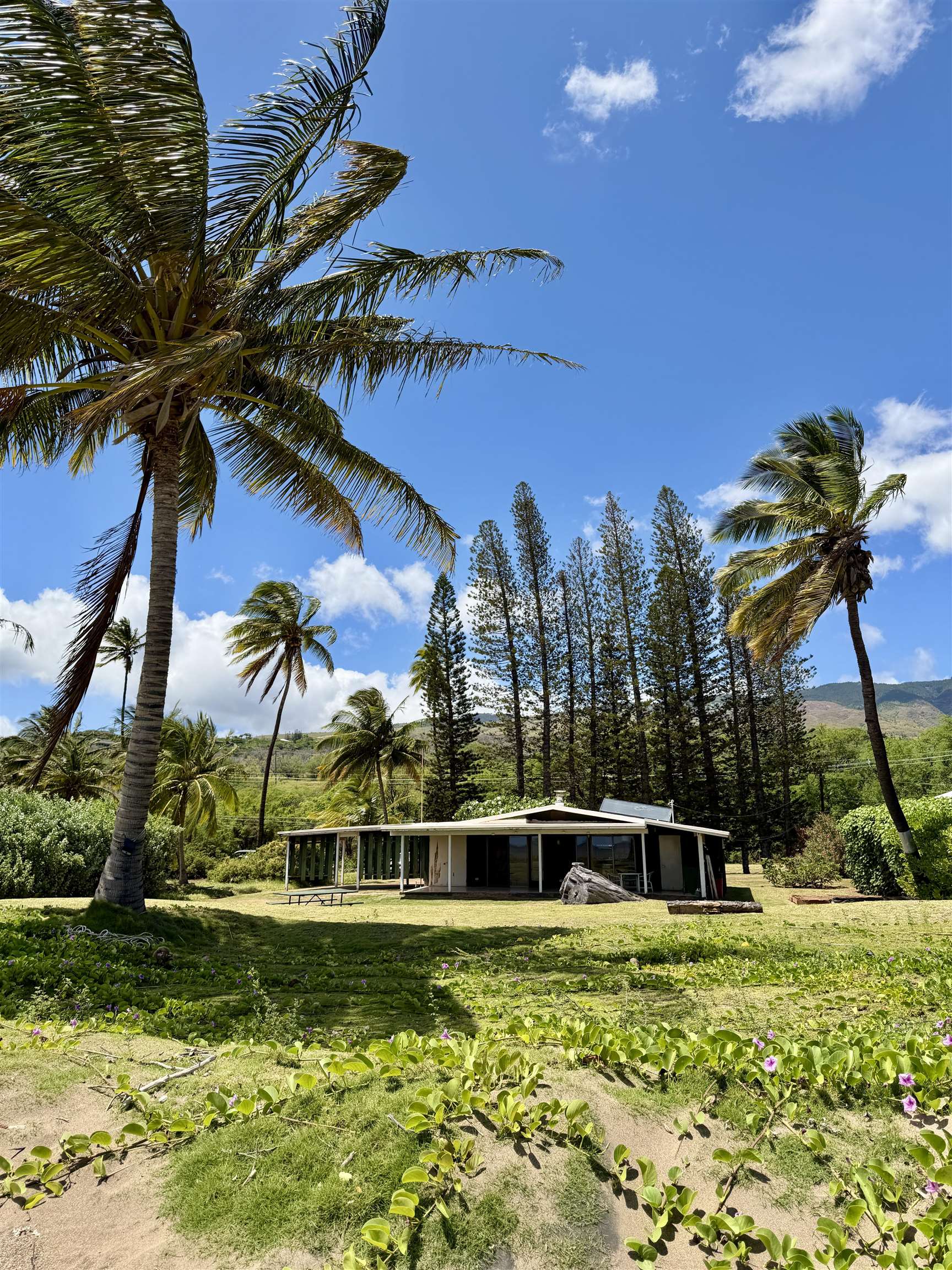 2655  Kamehameha V Hwy Kawela, Molokai home - photo 2 of 31