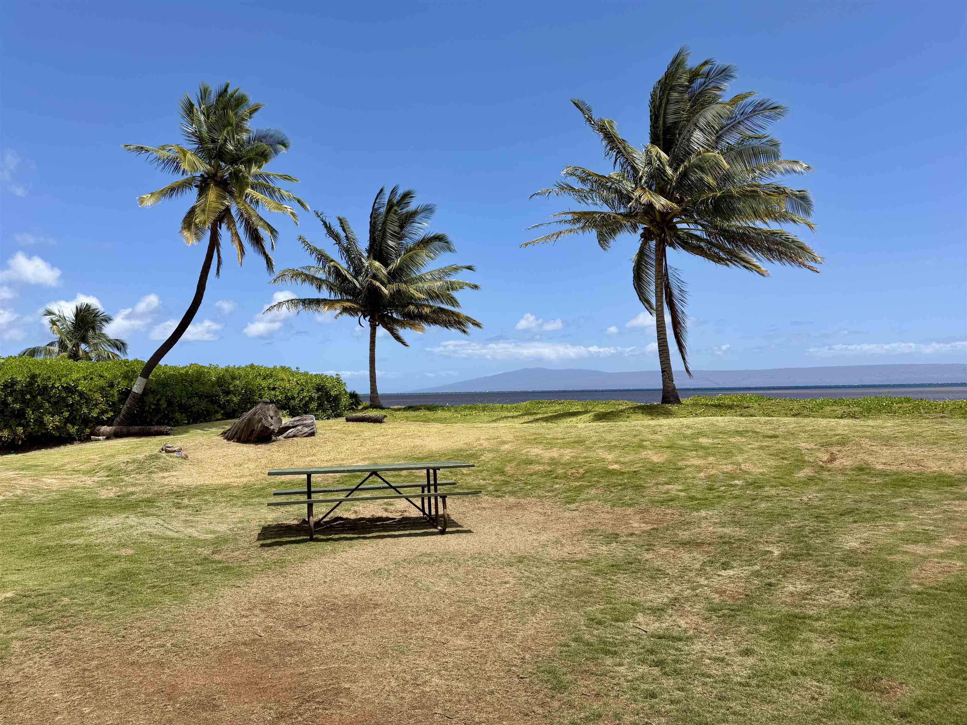 2655  Kamehameha V Hwy Kawela, Molokai home - photo 4 of 31