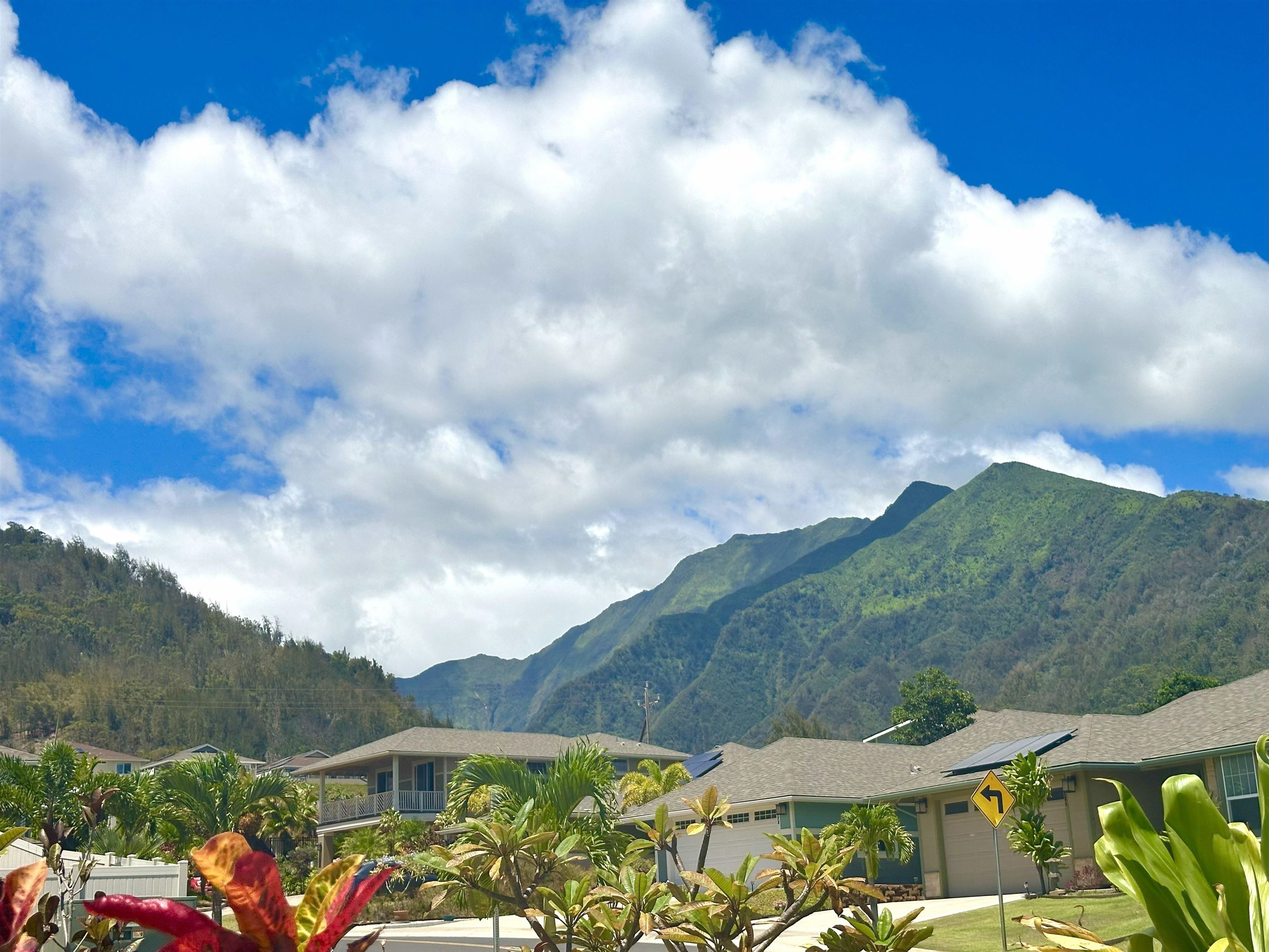 266  Puaehu St Kehalani, Wailuku home - photo 14 of 47