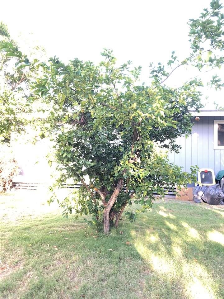 266  PUUNENE Ave , Kahului home - photo 25 of 30