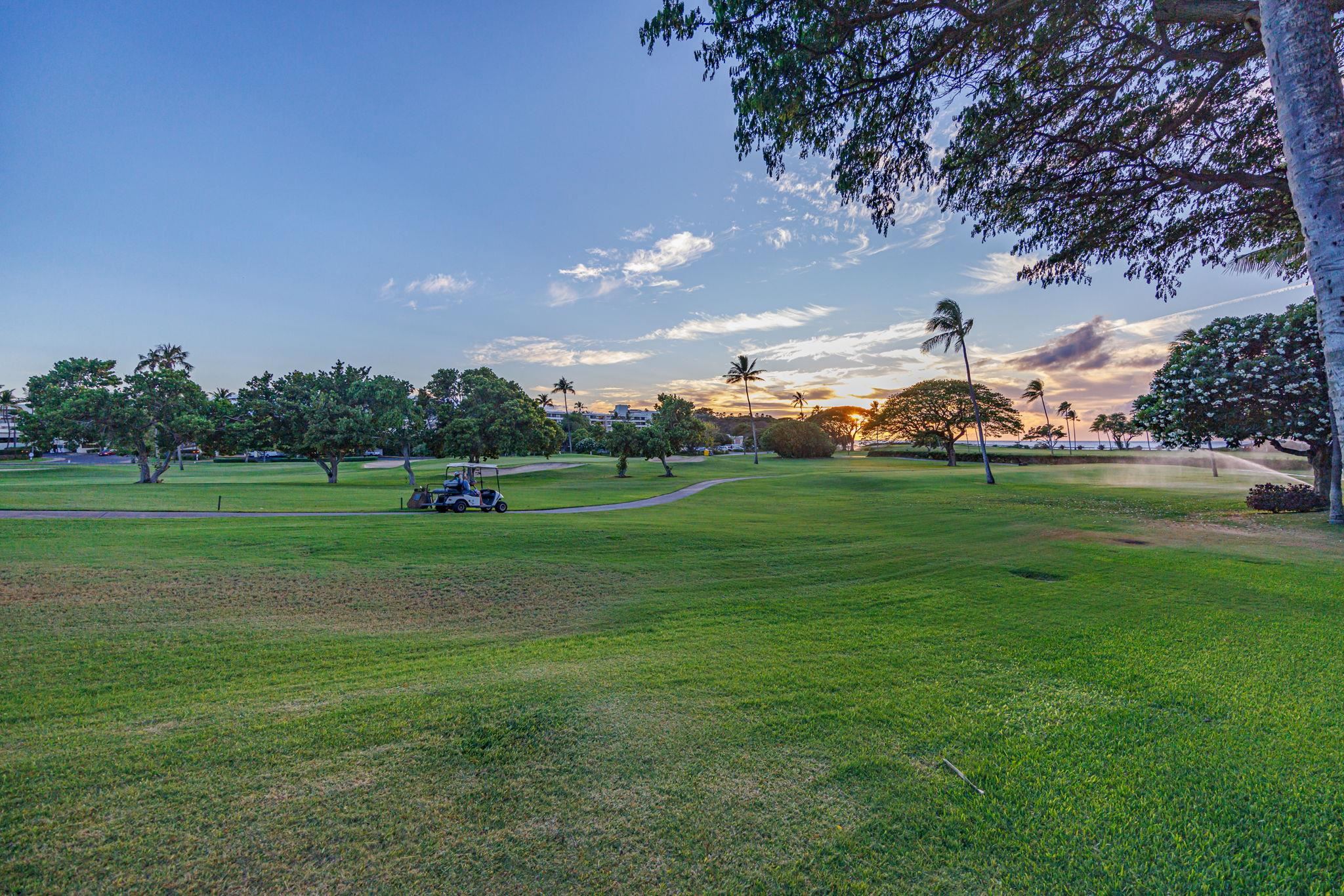 Maui Eldorado I condo # C-103, Lahaina, Hawaii - photo 38 of 50