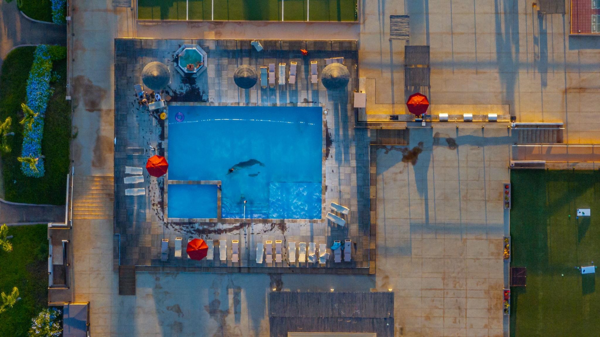 Maui Eldorado I condo # C-103, Lahaina, Hawaii - photo 48 of 50