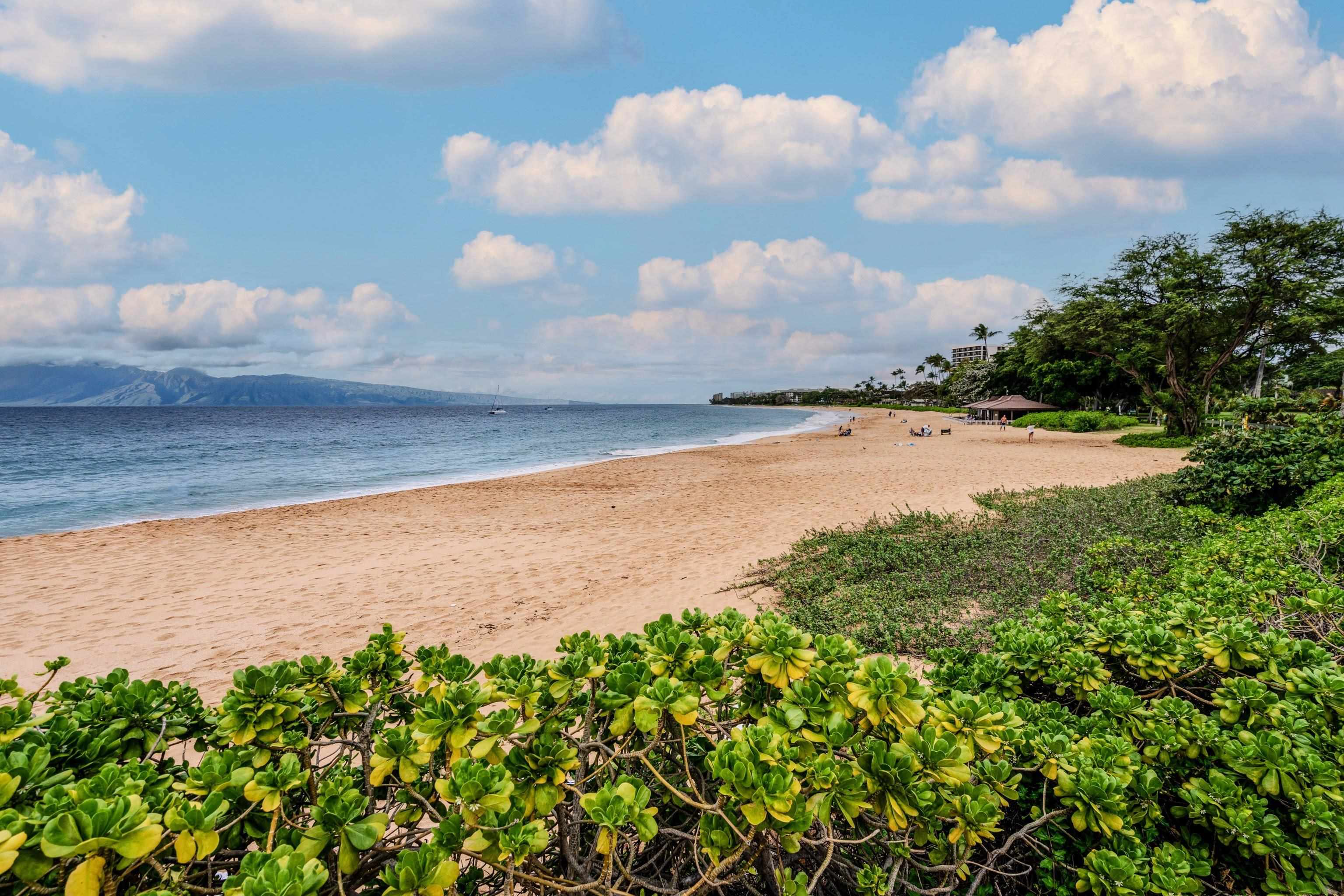 Maui Eldorado I condo # D103, Lahaina, Hawaii - photo 33 of 43