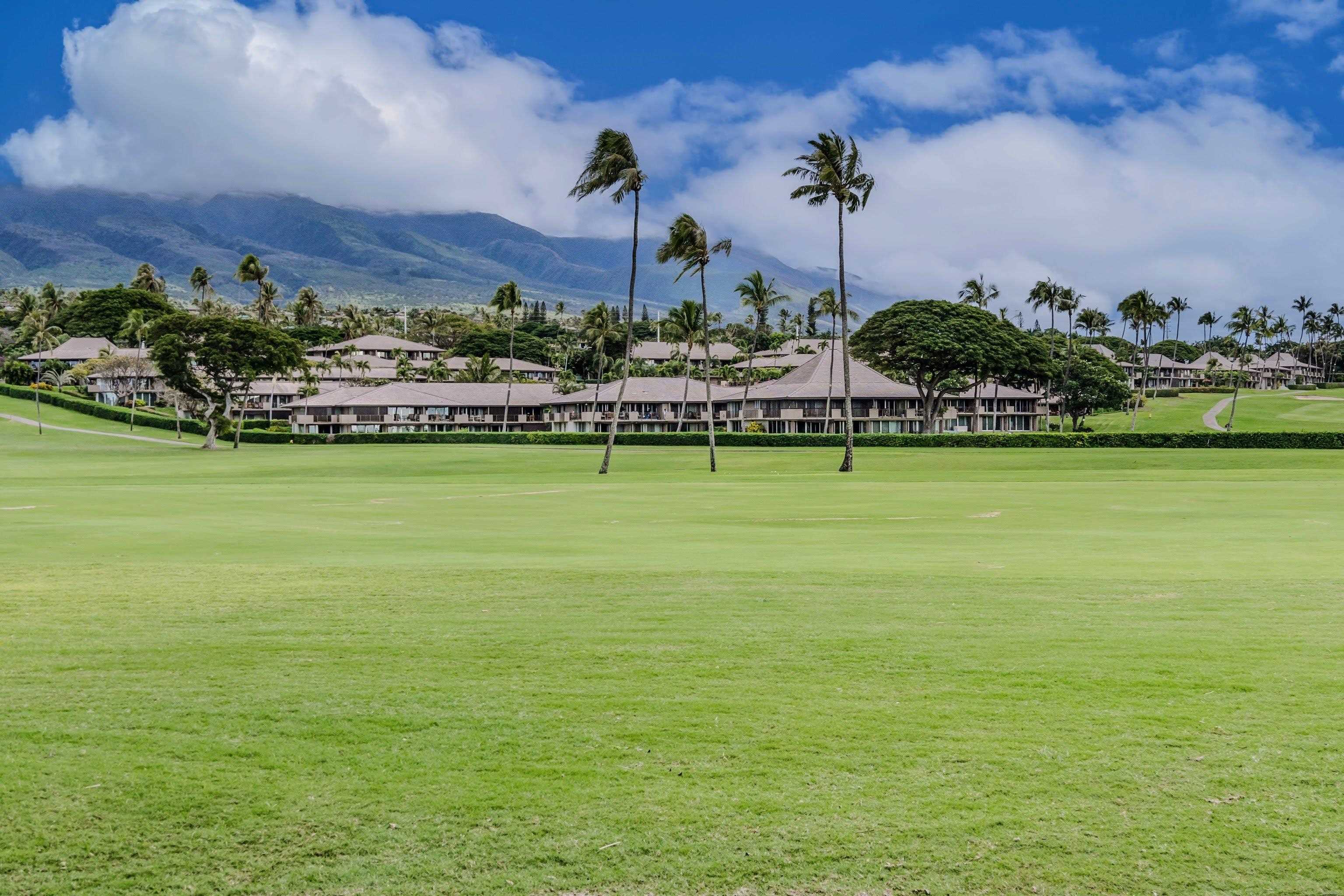 Maui Eldorado I condo # D103, Lahaina, Hawaii - photo 38 of 43