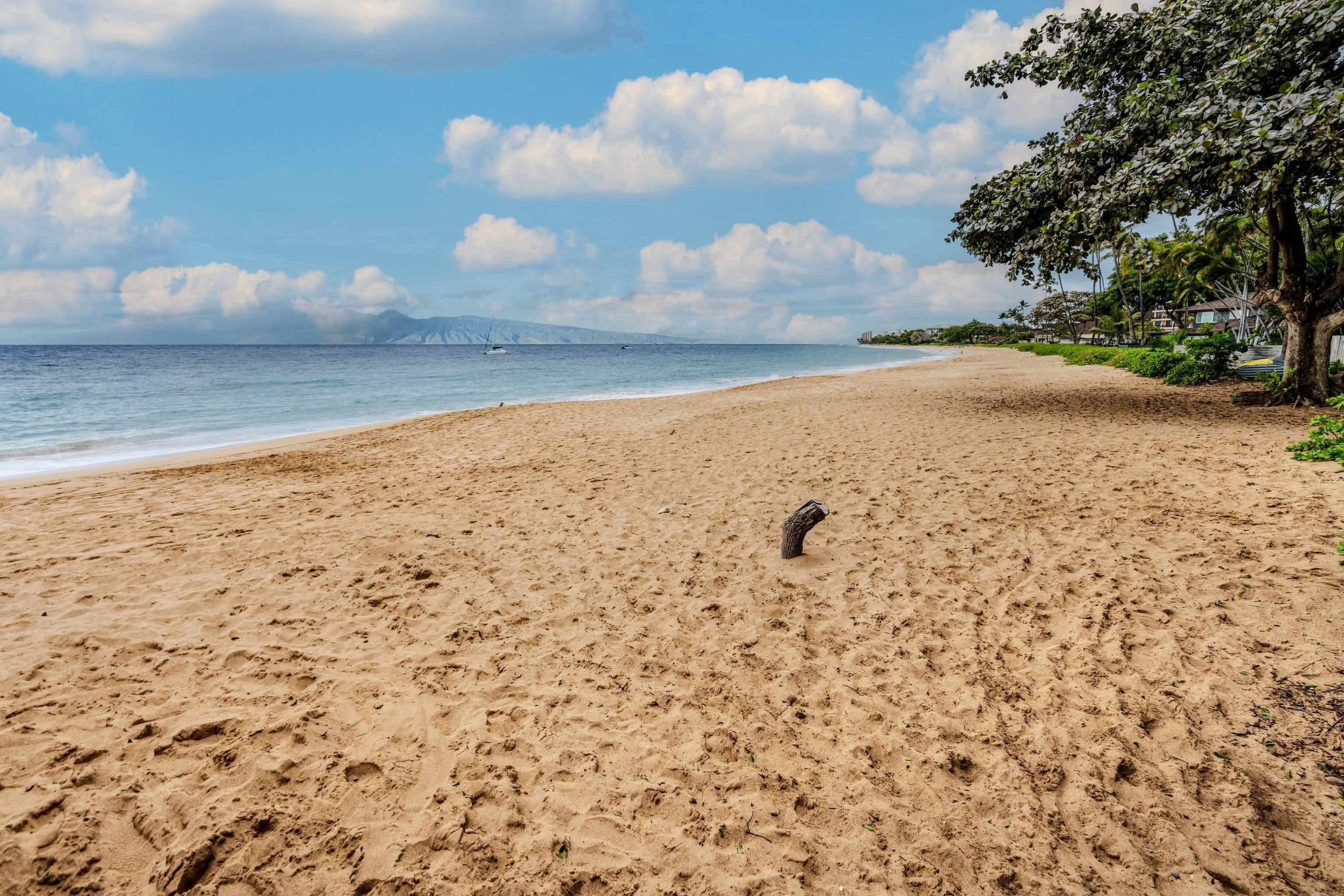 Maui Eldorado I condo # D103, Lahaina, Hawaii - photo 41 of 43