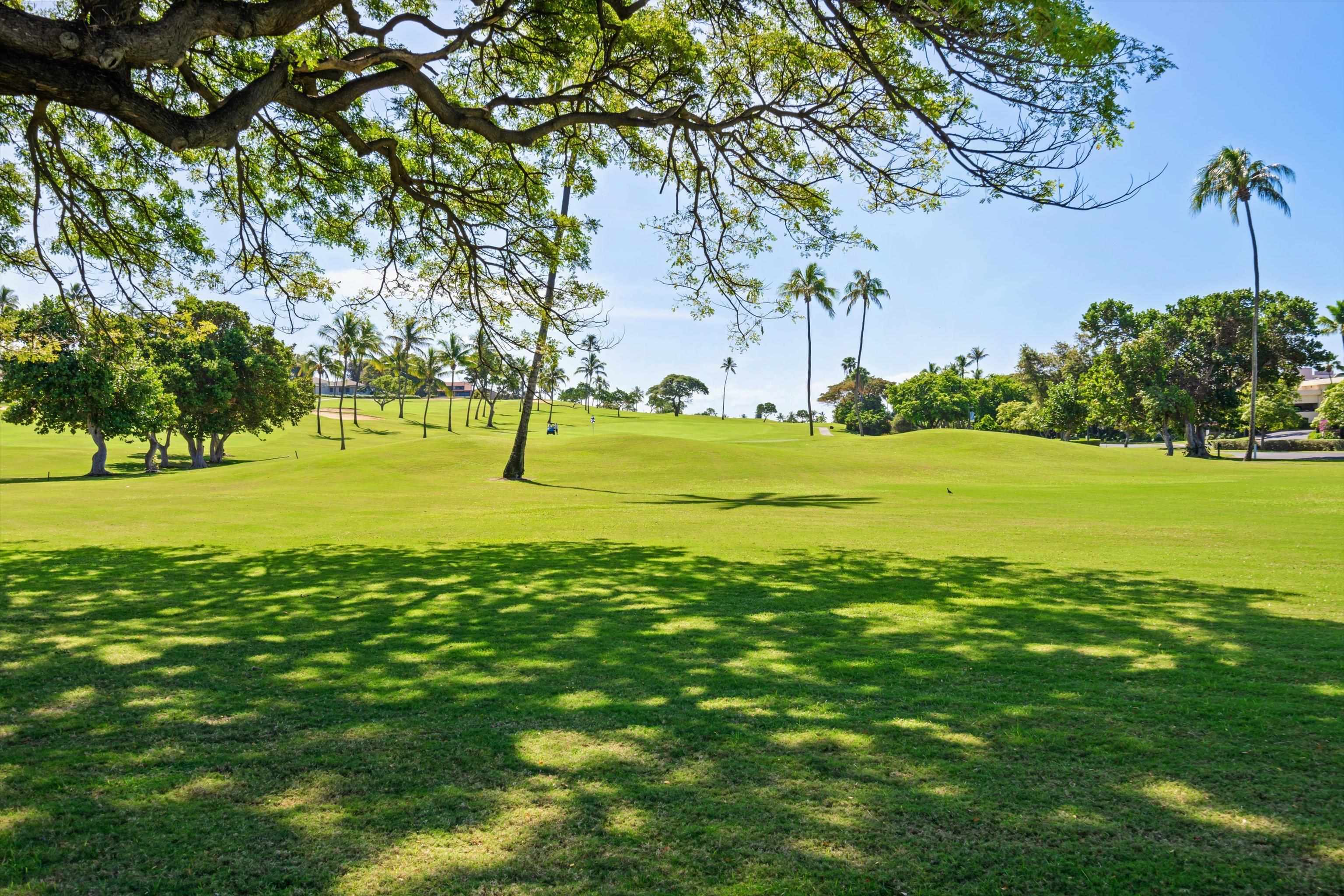 Maui Eldorado I condo # D103, Lahaina, Hawaii - photo 45 of 47
