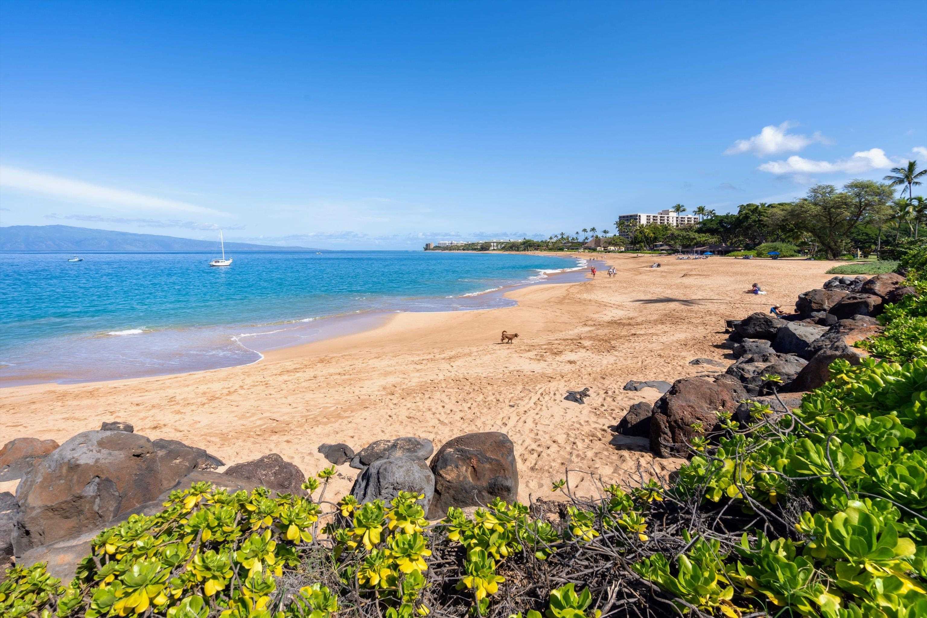 Maui Eldorado I condo # D103, Lahaina, Hawaii - photo 47 of 47