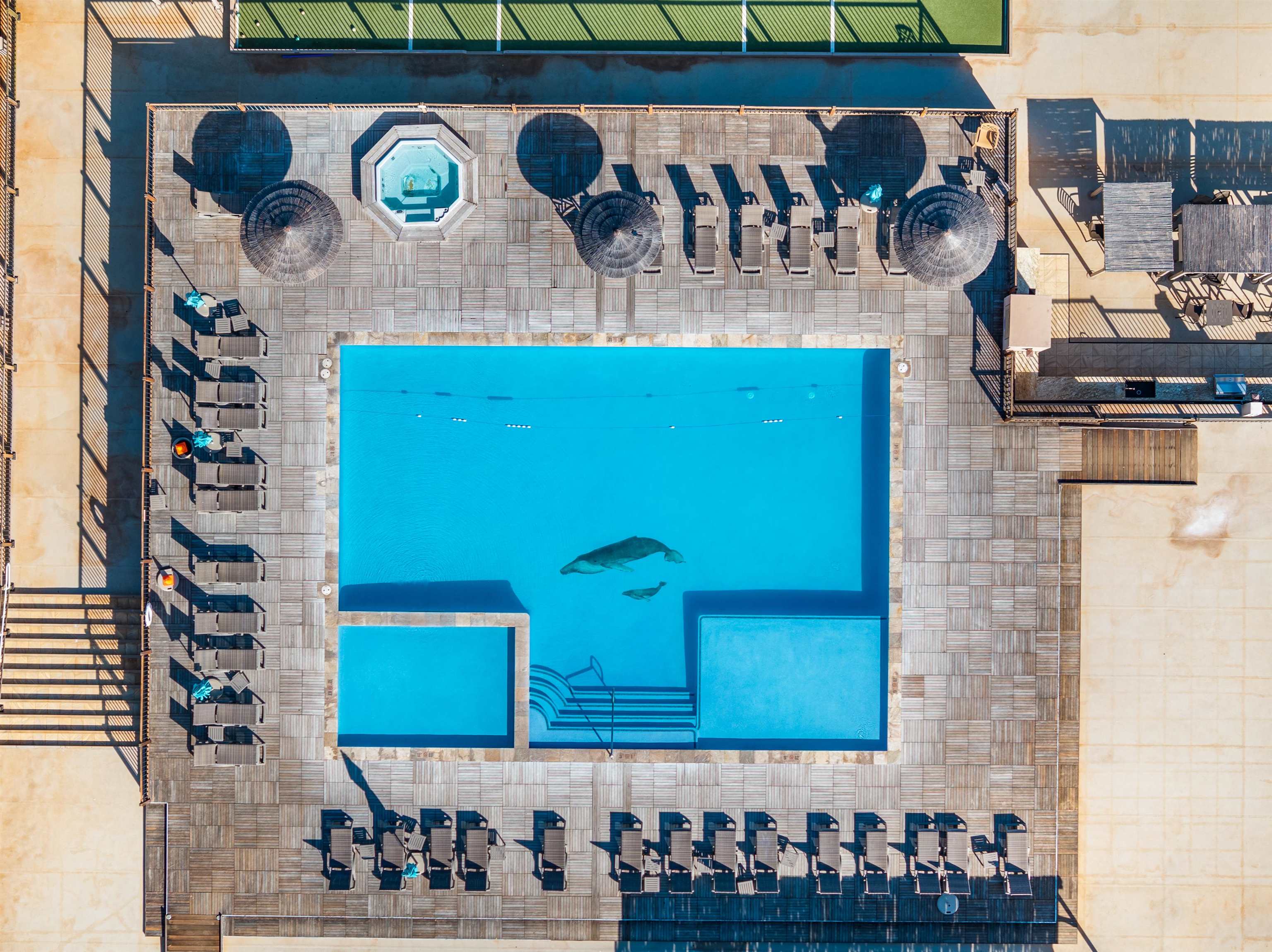 Maui Eldorado I condo # E102, Lahaina, Hawaii - photo 27 of 39