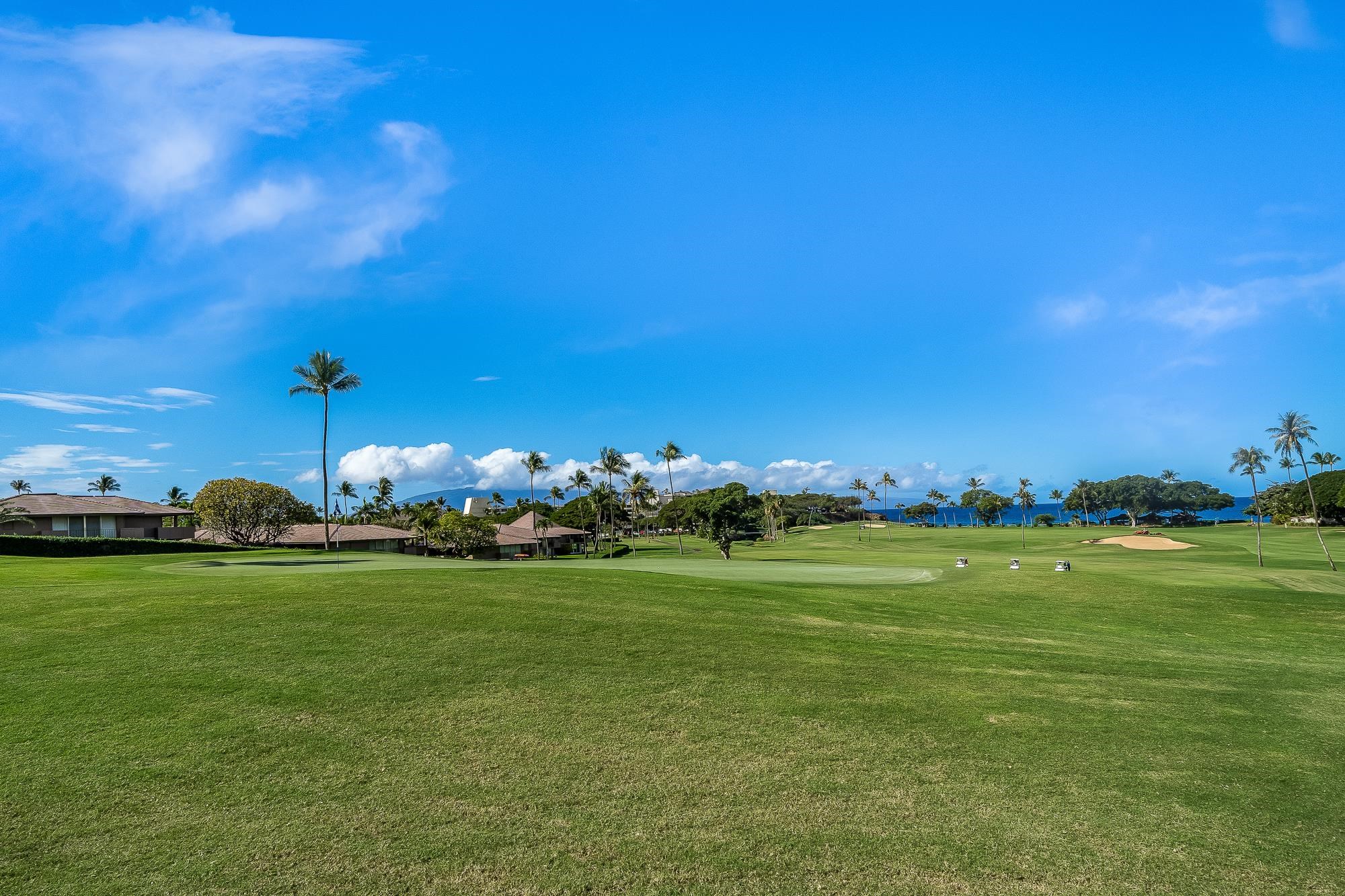 Maui Eldorado I condo # E204, Lahaina, Hawaii - photo 18 of 50