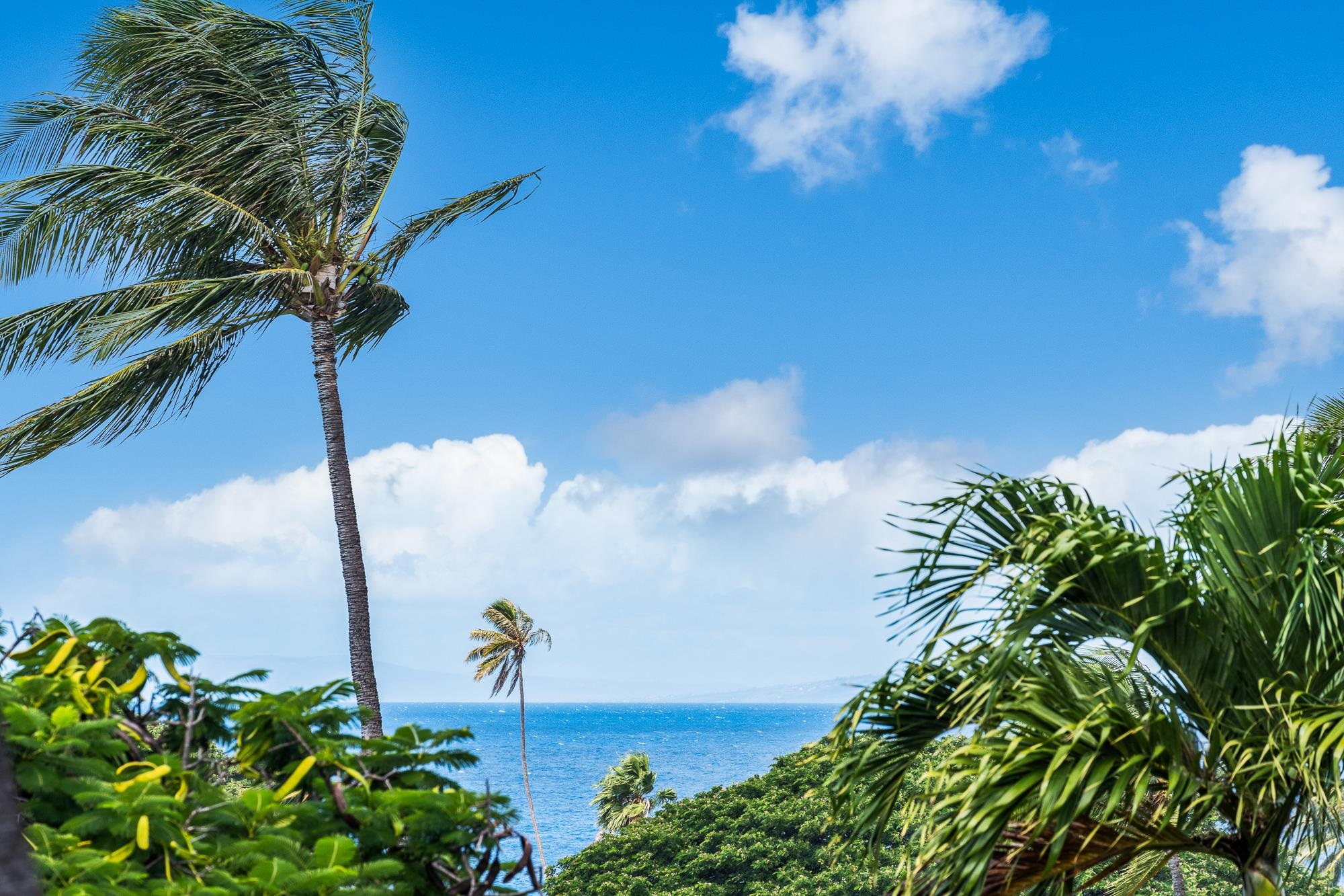 Maui Eldorado I condo # E204, Lahaina, Hawaii - photo 23 of 50