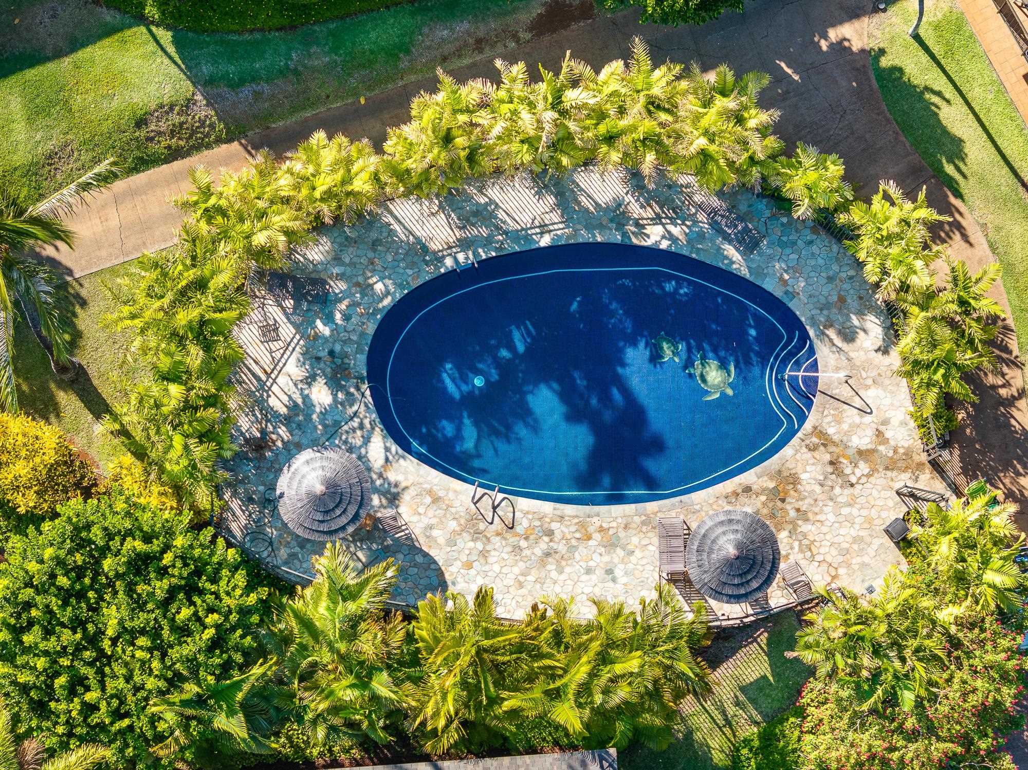 Maui Eldorado I condo # E204, Lahaina, Hawaii - photo 29 of 50