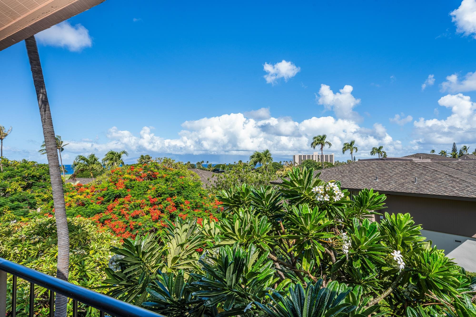 Maui Eldorado I condo # E204, Lahaina, Hawaii - photo 37 of 50