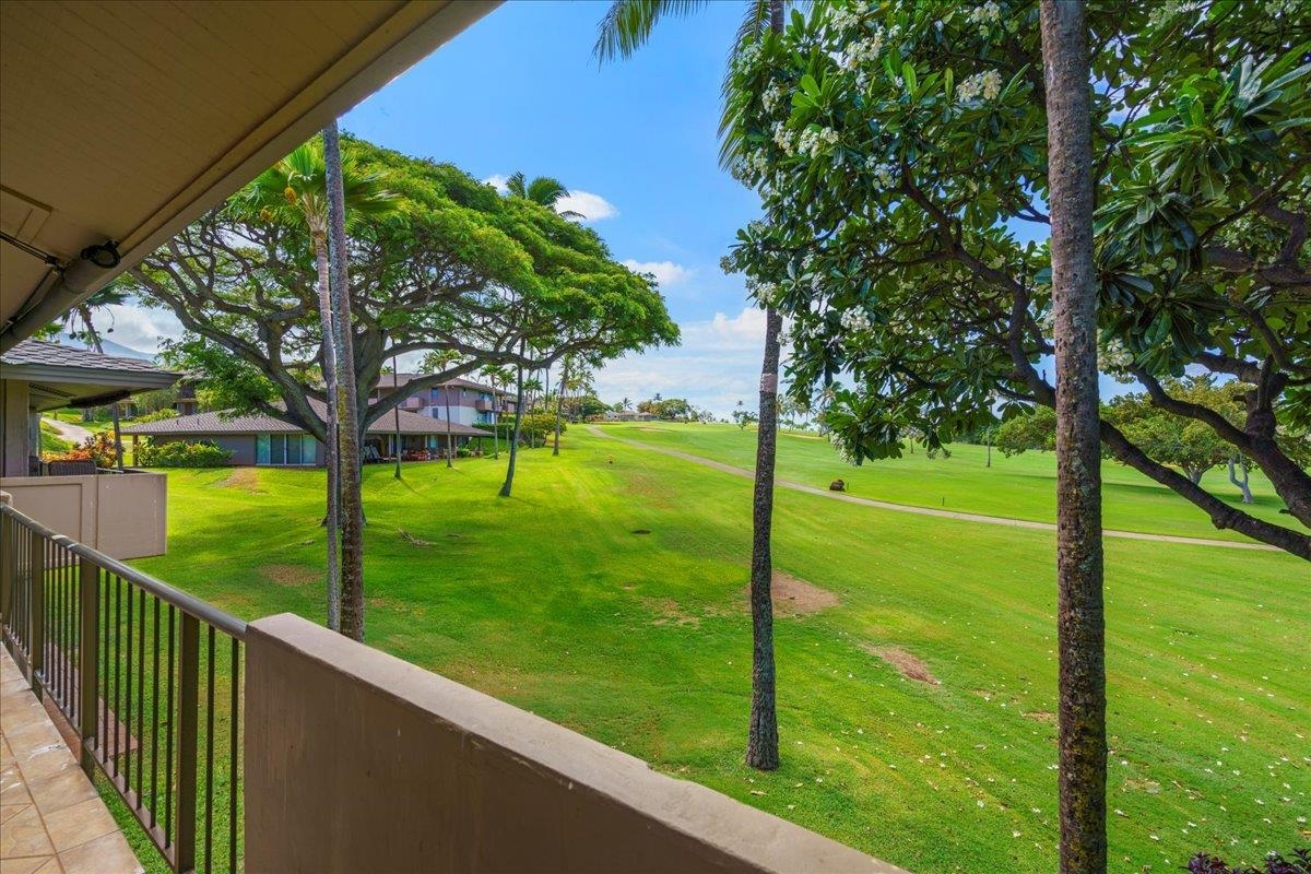 Maui Eldorado I condo # H-202, Lahaina, Hawaii - photo 23 of 50