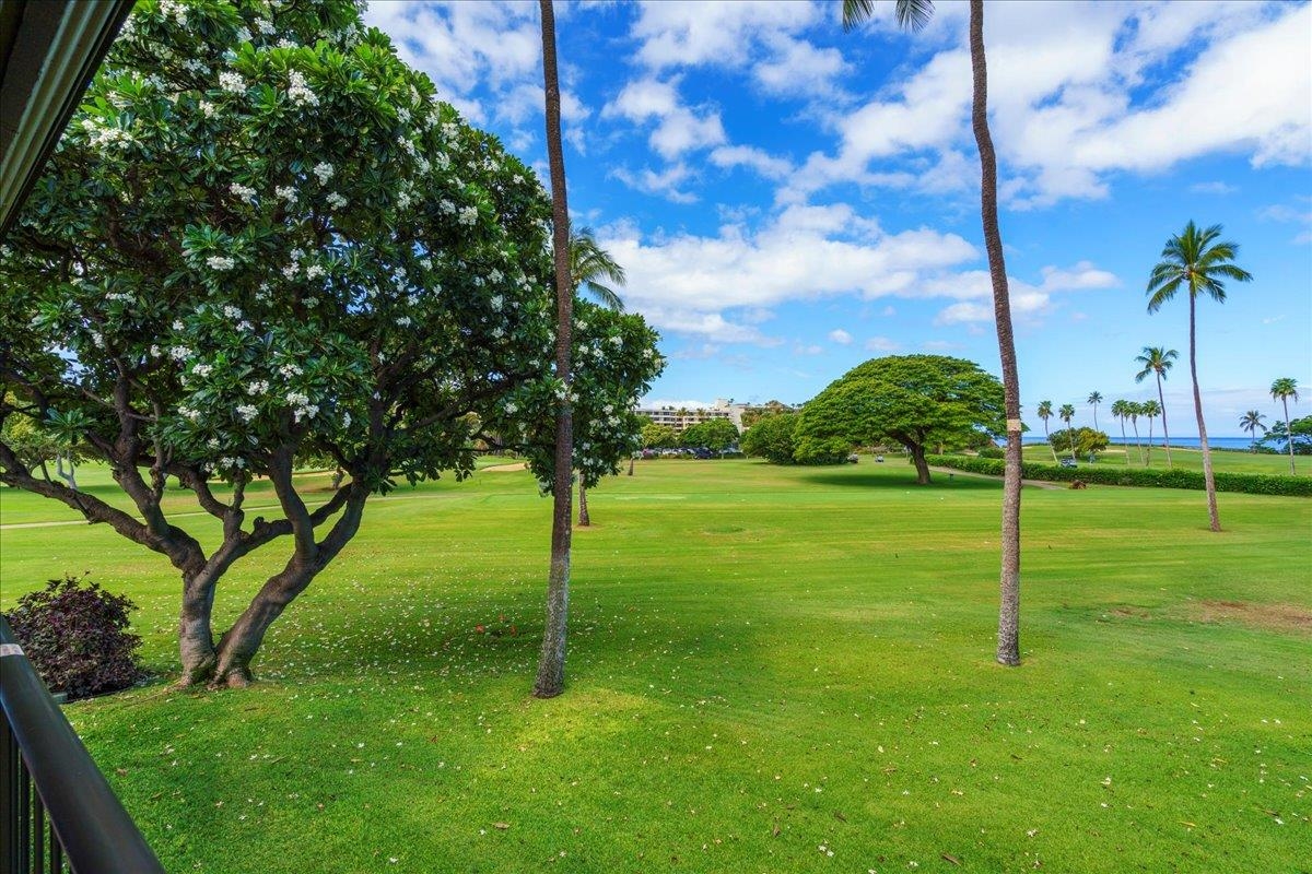 Maui Eldorado I condo # H-202, Lahaina, Hawaii - photo 25 of 50