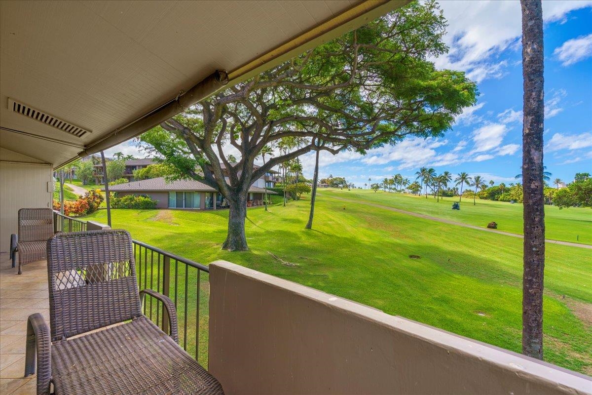 Maui Eldorado I condo # H-202, Lahaina, Hawaii - photo 34 of 50