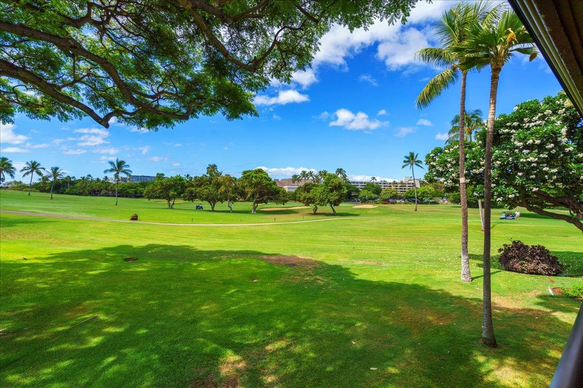 Maui Eldorado I condo # H-202, Lahaina, Hawaii - photo 35 of 50