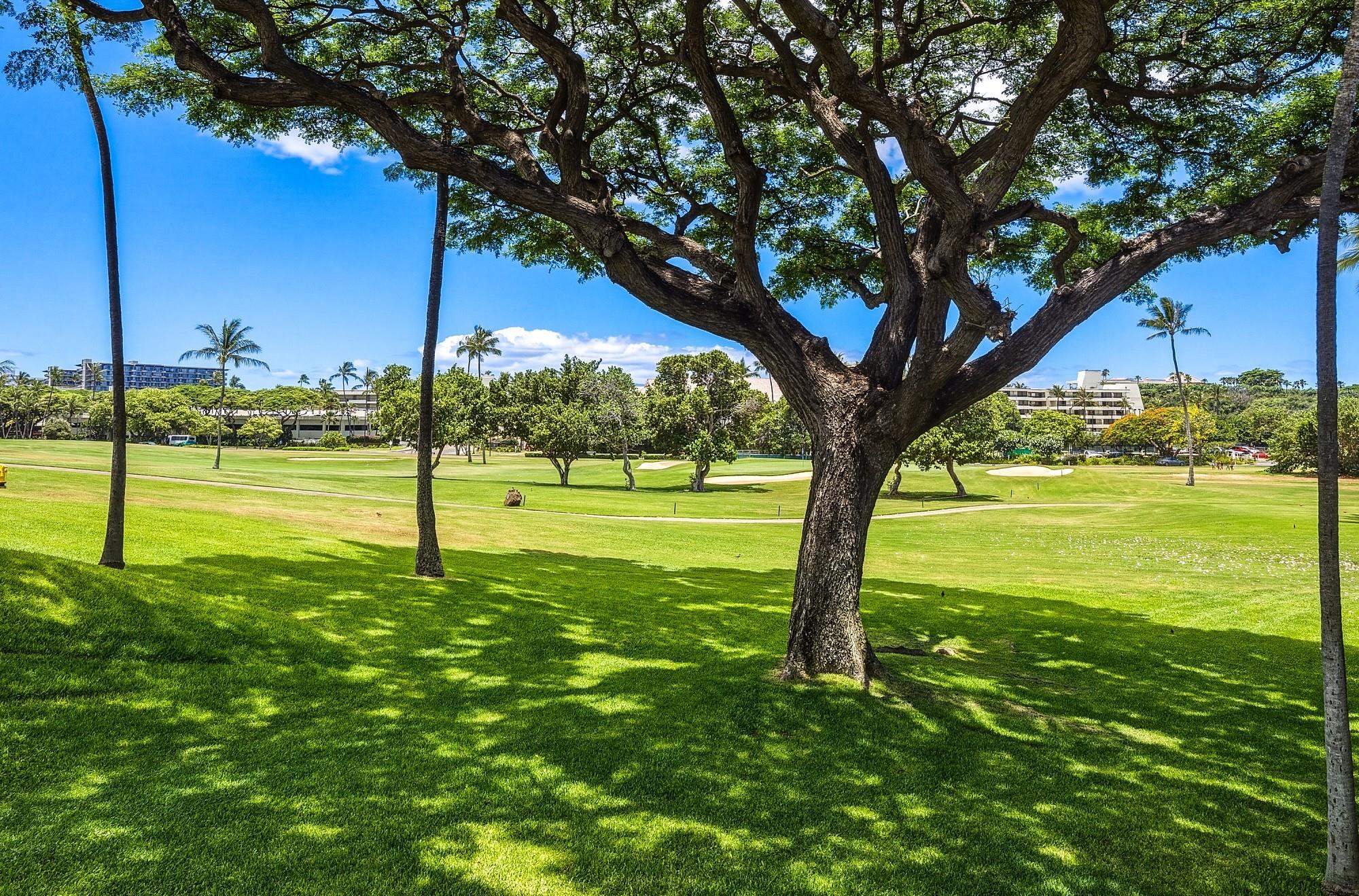 Maui Eldorado I condo # H205, Lahaina, Hawaii - photo 26 of 47