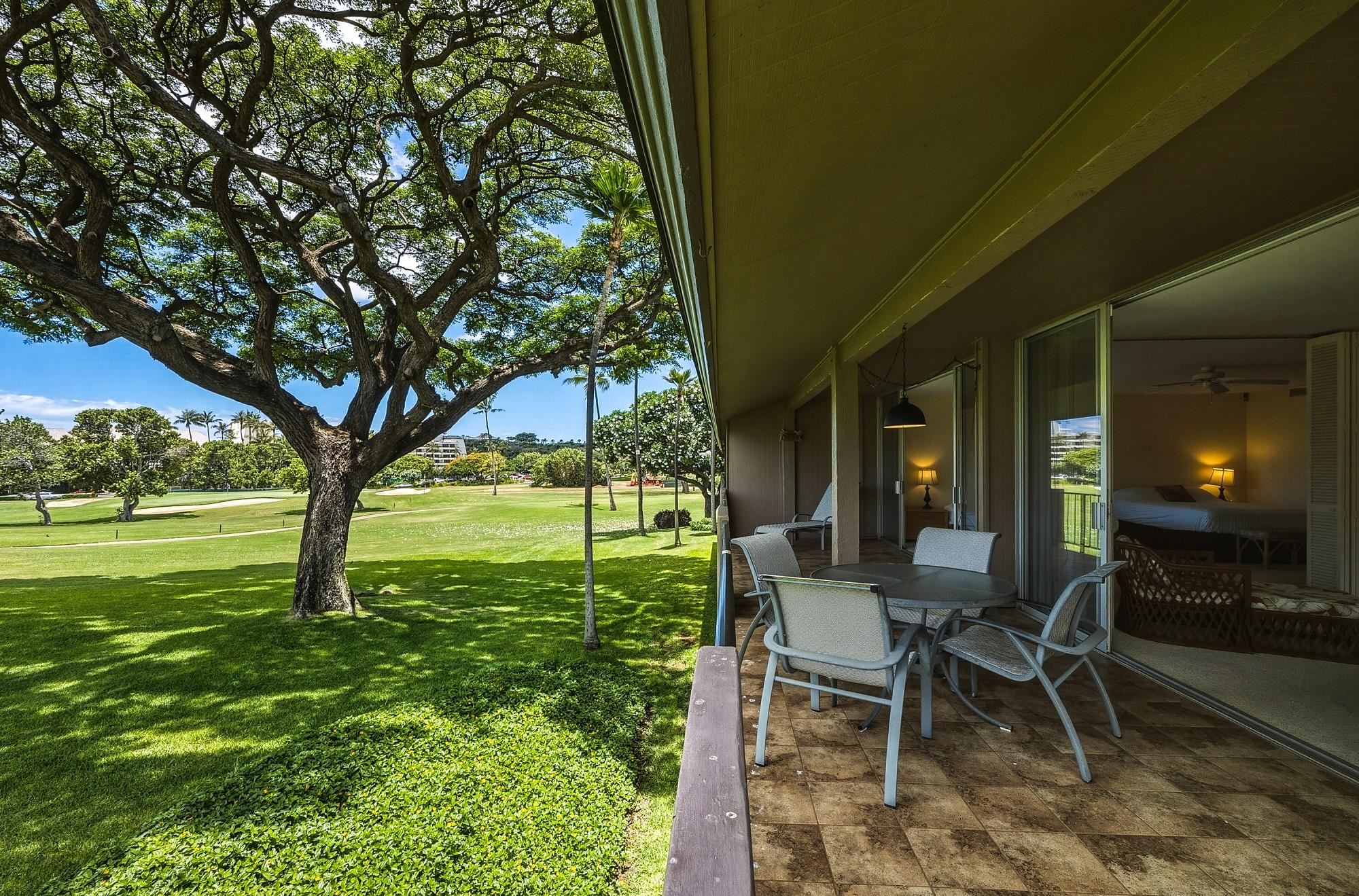 Maui Eldorado I condo # H205, Lahaina, Hawaii - photo 36 of 47