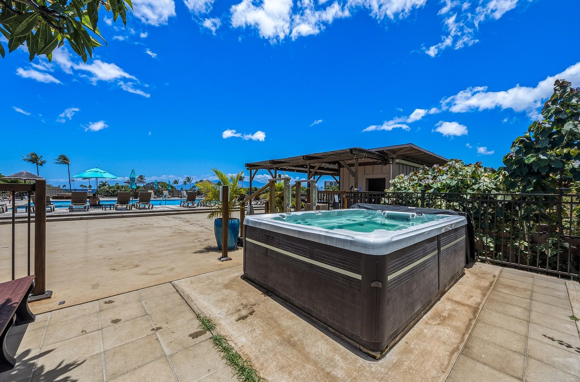 Maui Eldorado I condo # H205, Lahaina, Hawaii - photo 47 of 47
