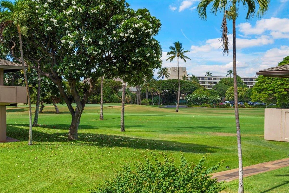Maui Eldorado II condo # J-211, Lahaina, Hawaii - photo 25 of 36