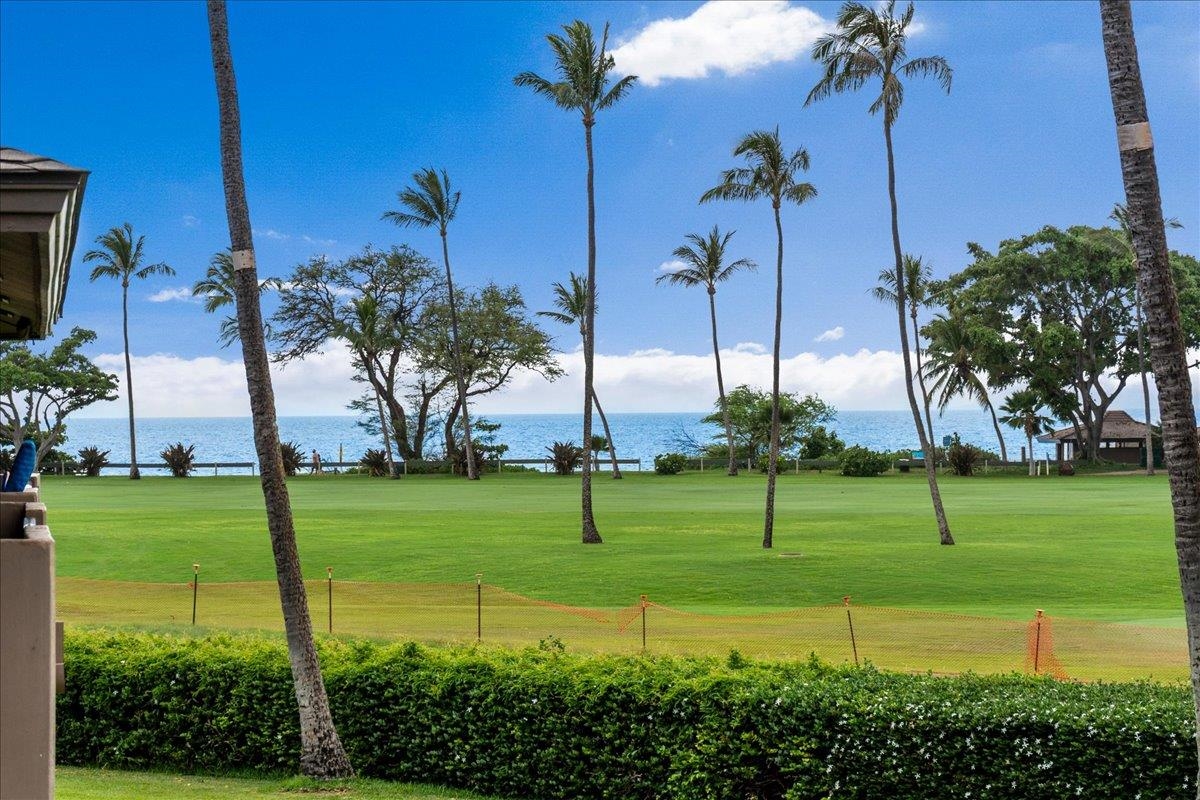 Maui Eldorado I condo # J-219, Lahaina, Hawaii - photo 3 of 38