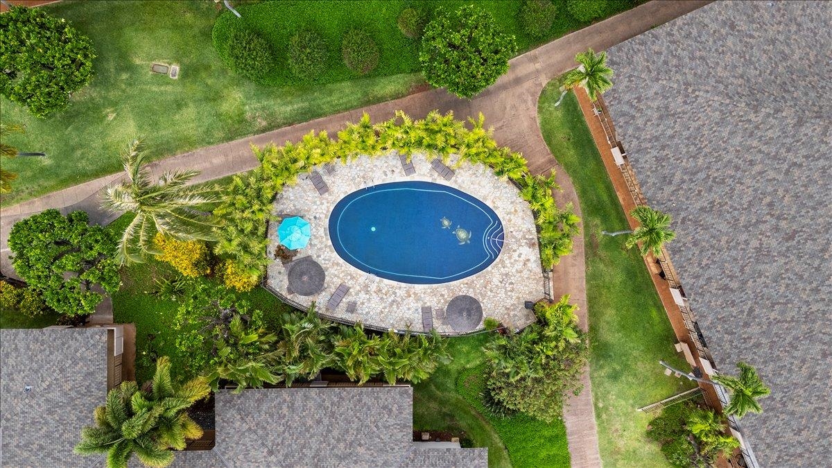 Maui Eldorado I condo # J-219, Lahaina, Hawaii - photo 30 of 38