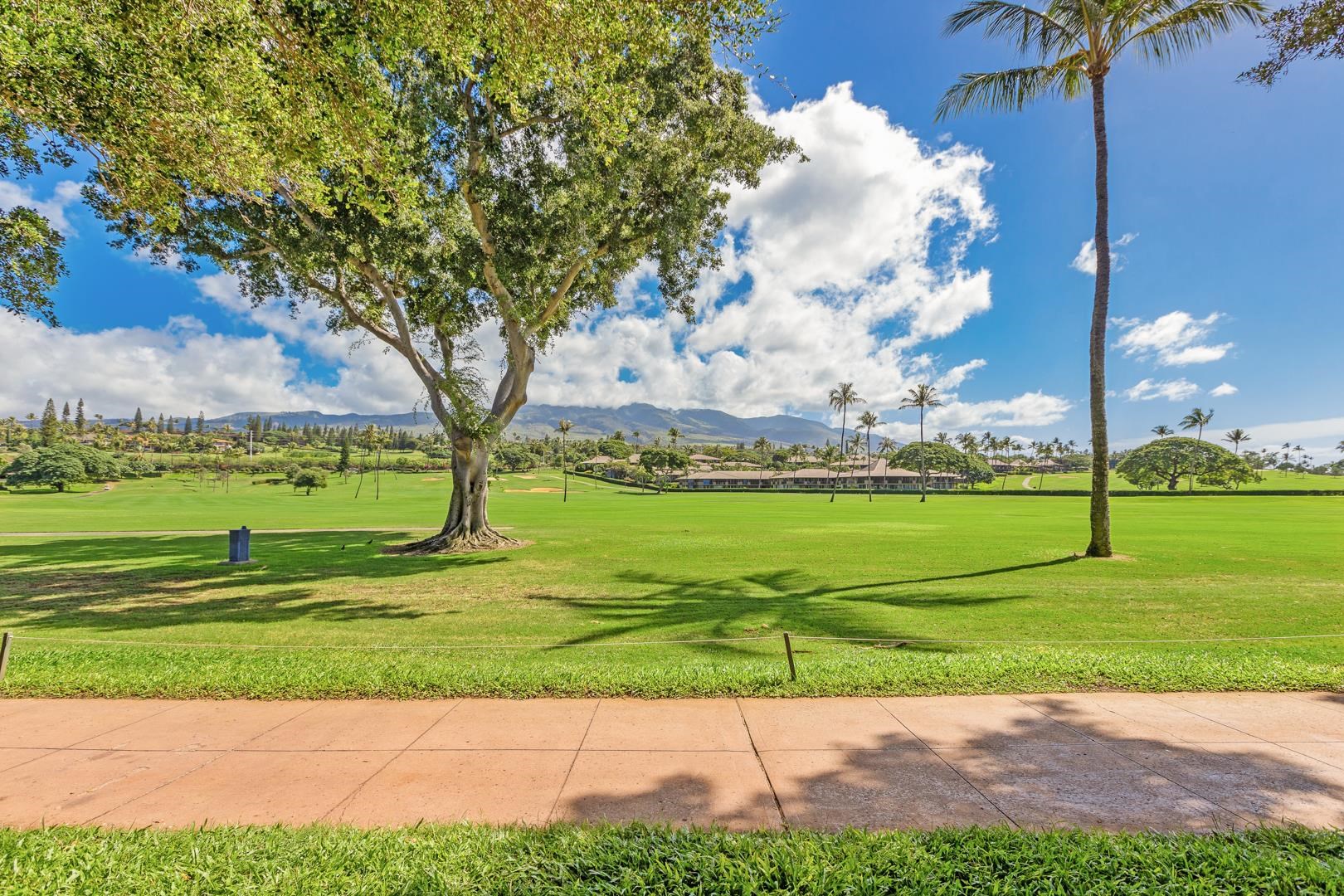 Maui Eldorado I condo # K210, Lahaina, Hawaii - photo 33 of 42