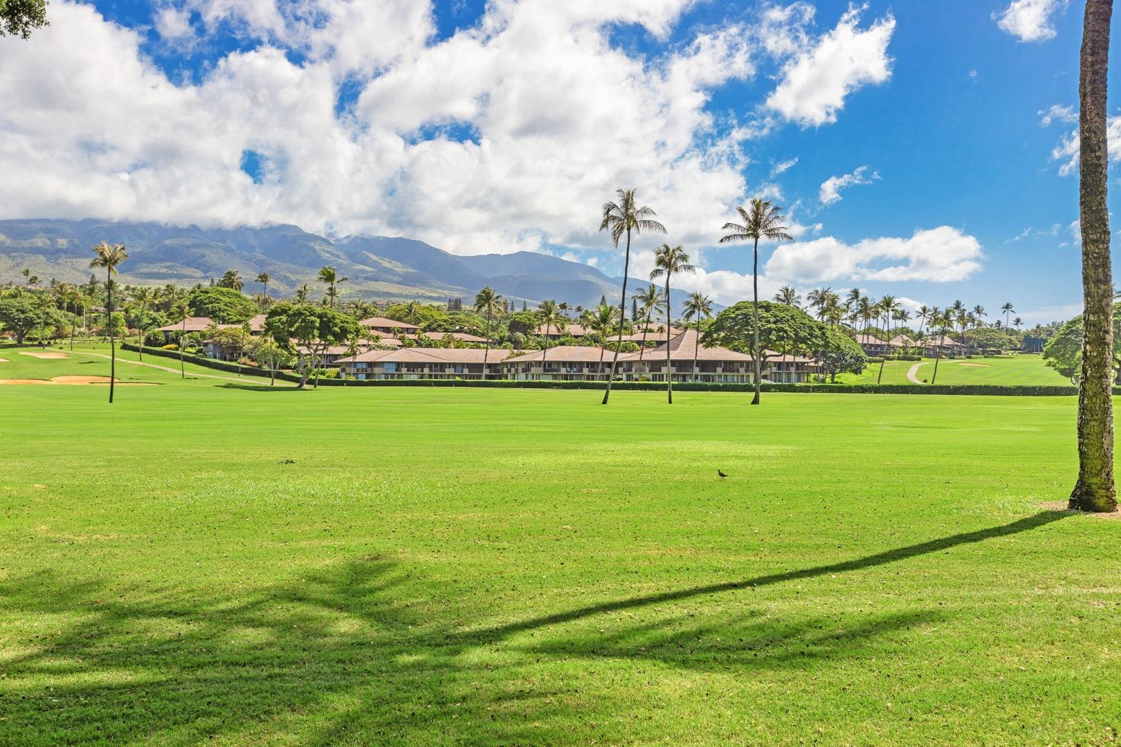 Maui Eldorado I condo # K210, Lahaina, Hawaii - photo 34 of 42