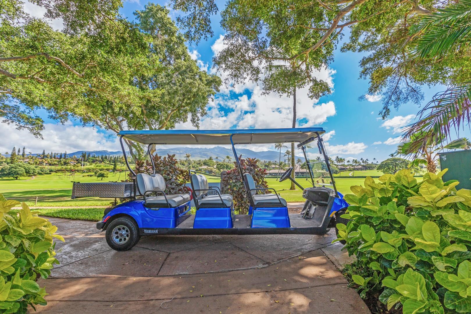 Maui Eldorado II condo # A-110, Lahaina, Hawaii - photo 28 of 38