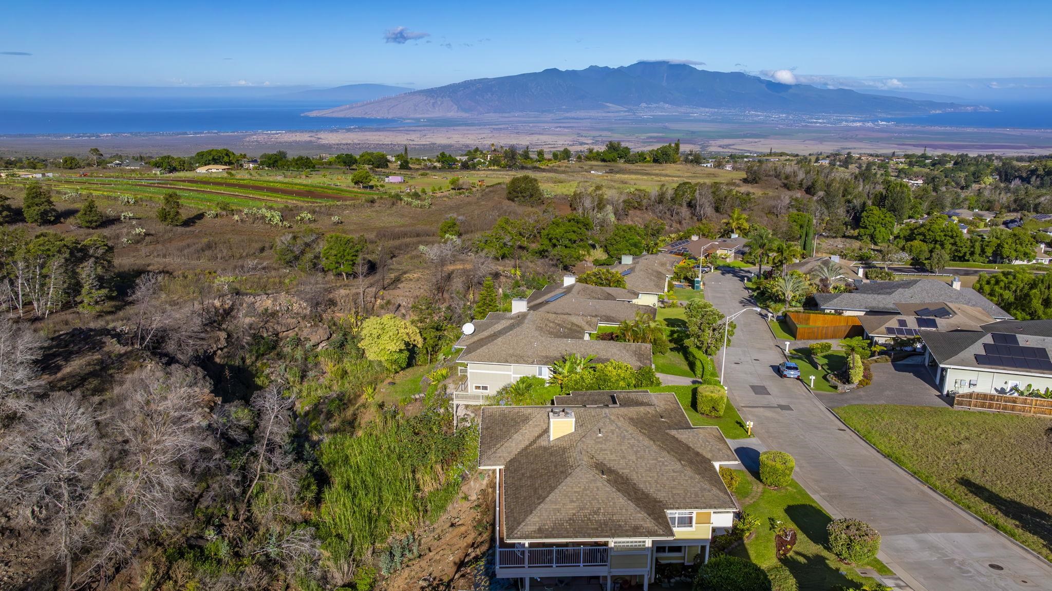 267  Kulamanu Cir Kulamanu, Kula/Ulupalakua/Kanaio home - photo 15 of 48