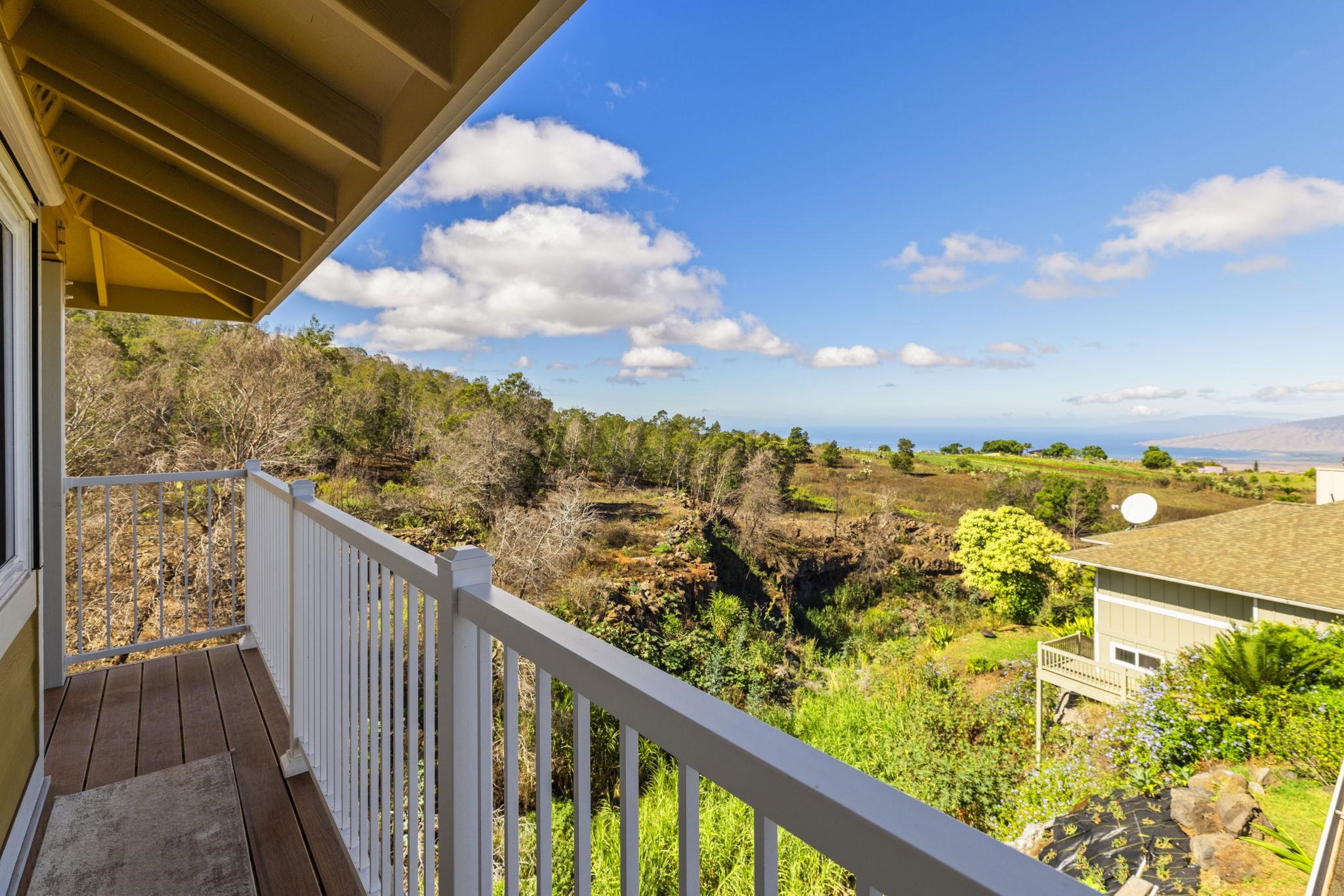 267  Kulamanu Cir Kulamanu, Kula/Ulupalakua/Kanaio home - photo 18 of 46