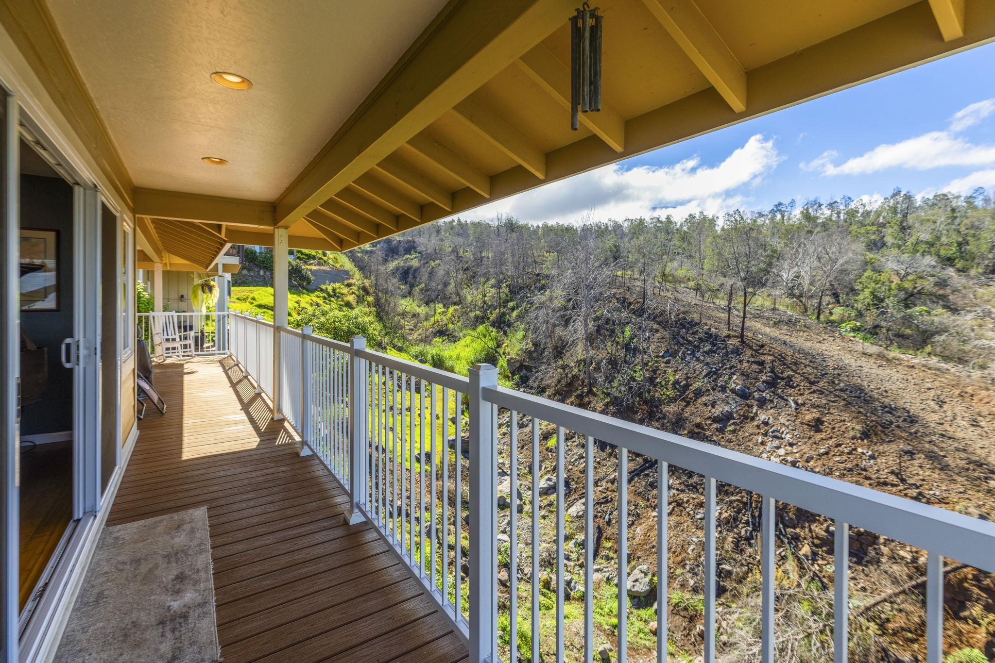 267  Kulamanu Cir Kulamanu, Kula/Ulupalakua/Kanaio home - photo 21 of 50