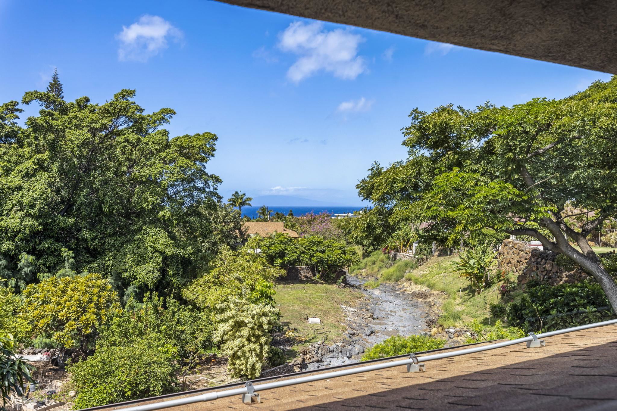 2670  Kanakanui Rd Keonekai Heights, Kihei home - photo 22 of 42