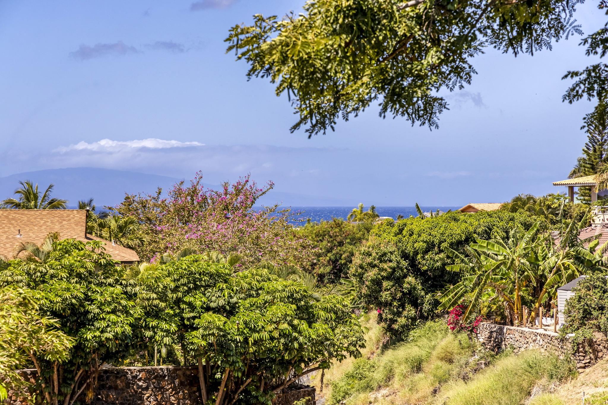 2670  Kanakanui Rd Keonekai Heights, Kihei home - photo 24 of 42