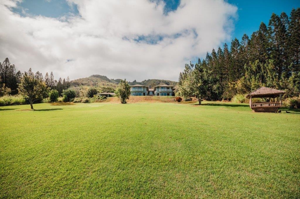 2673  Kamaile St Wailuku, Wailuku home - photo 43 of 46