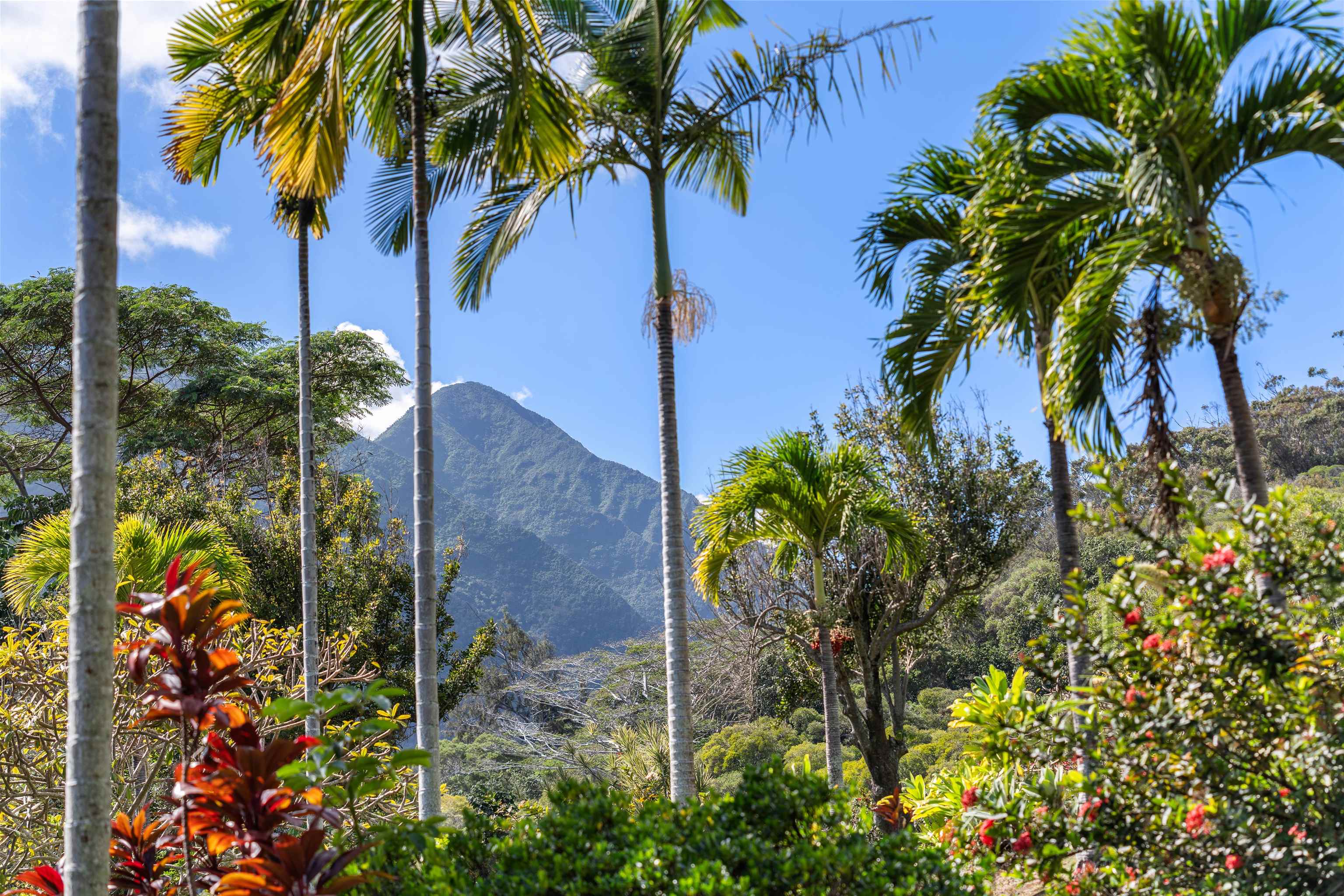 2673  Kamaile St Wailuku Country Estates, Wailuku home - photo 48 of 50