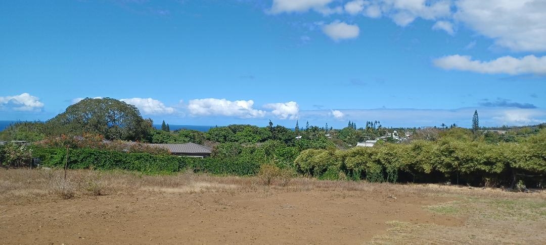2676  Kalanikahua Rd Portion/grant 121, Haiku home - photo 4 of 18