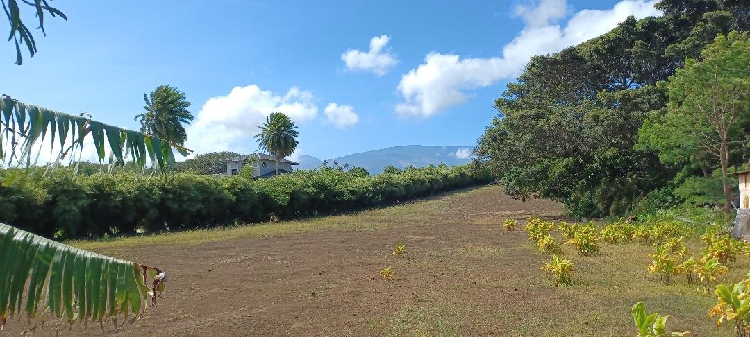 2676  Kalanikahua Rd Portion/grant 121, Haiku home - photo 7 of 18