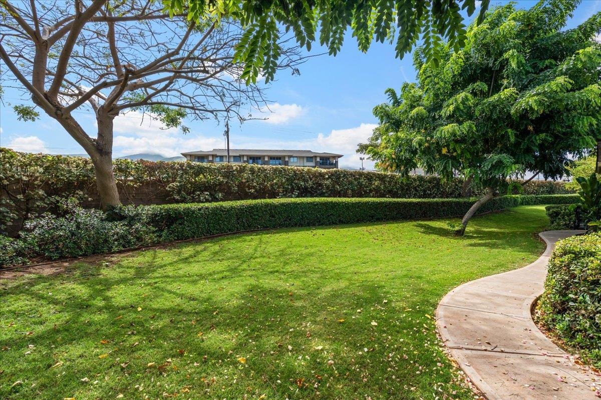 Kahoma Village condo # 8-101, Lahaina, Hawaii - photo 11 of 28