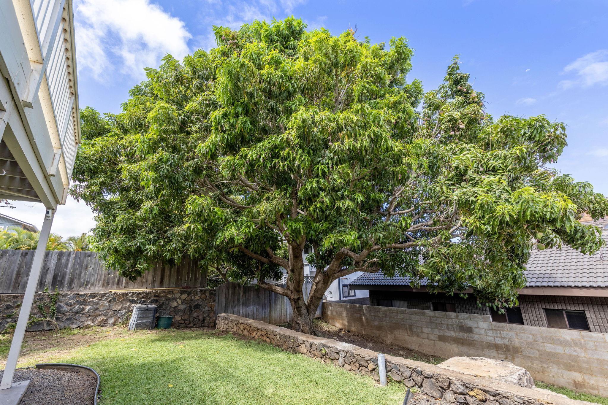 2682  Puu Hoolai St Keonekai, Kihei home - photo 39 of 41