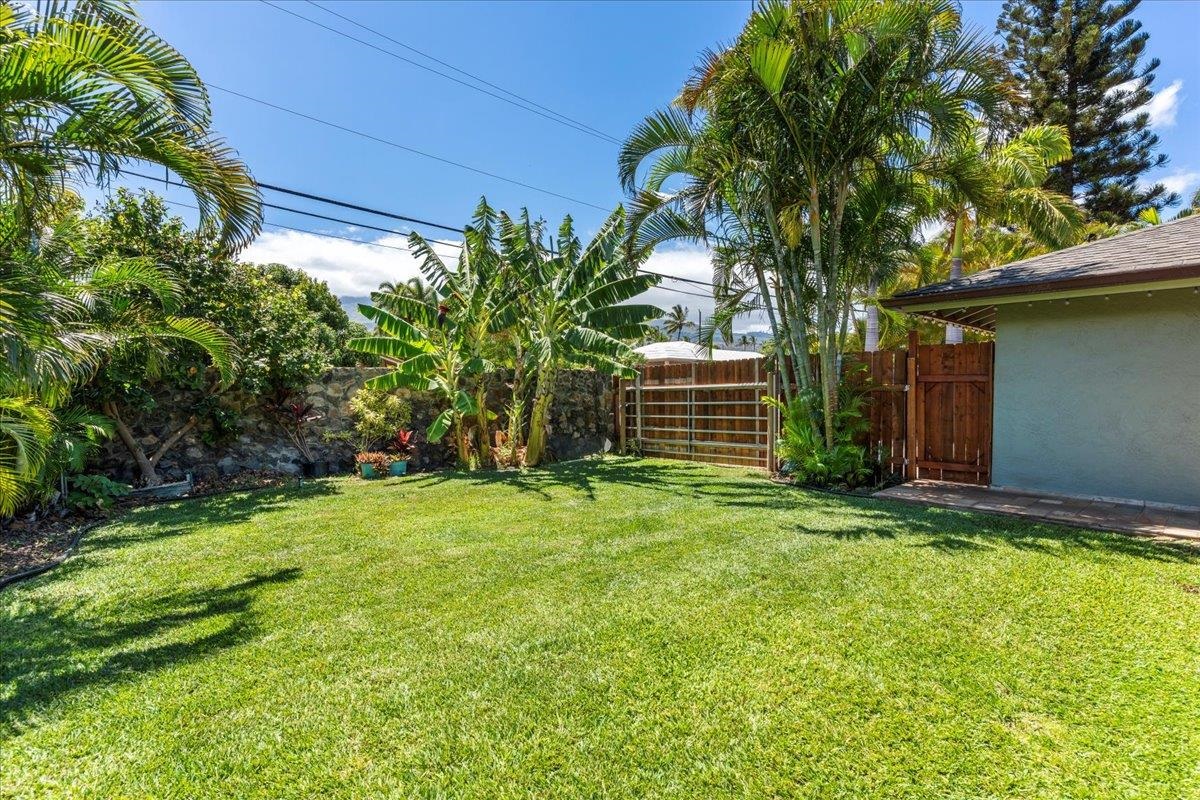 2688  Ohina St Keonekai, Kihei home - photo 39 of 45