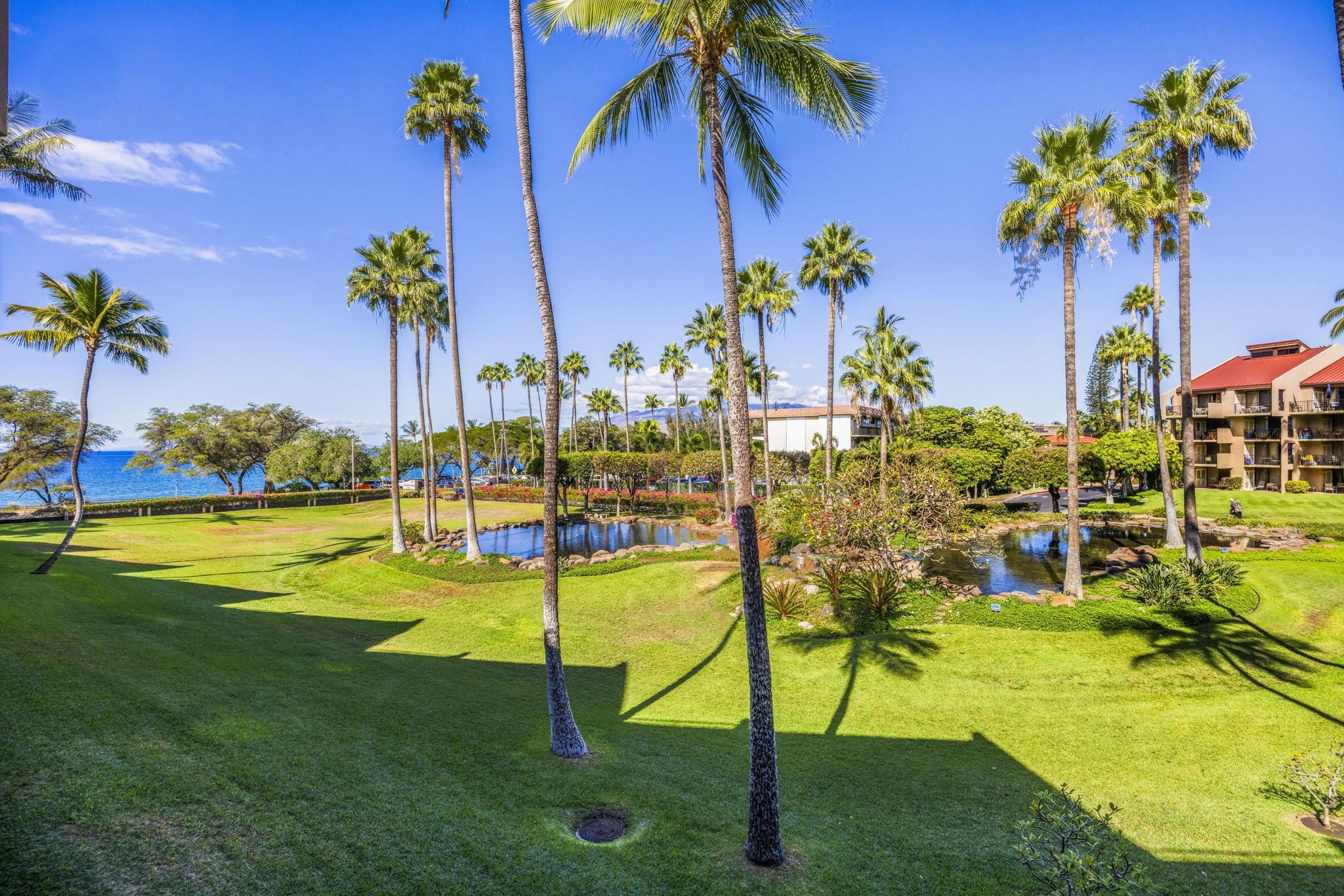 Kamaole Sands condo # 10-212, Kihei, Hawaii - photo 35 of 50