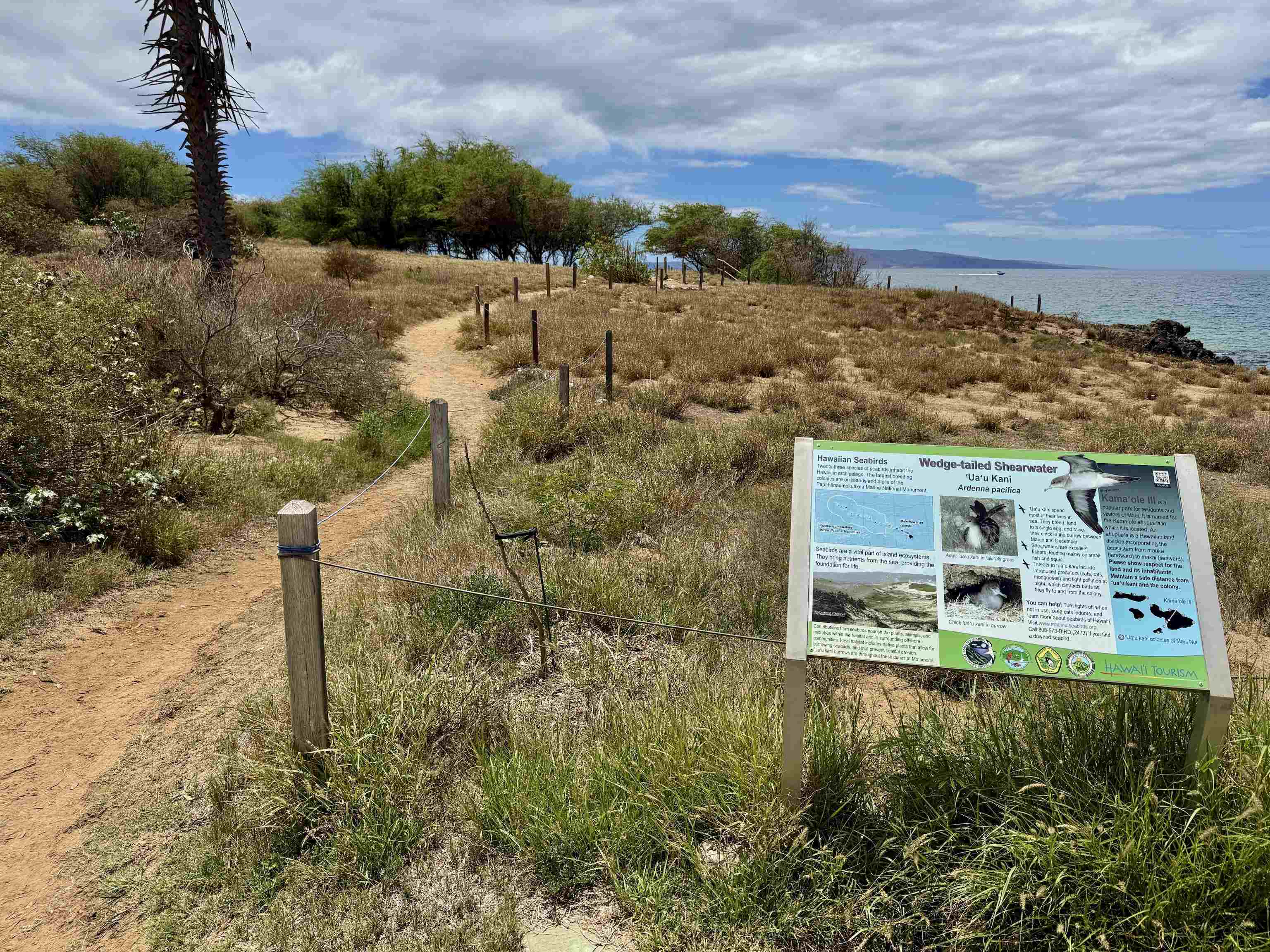 Kamaole Sands condo # 10213, Kihei, Hawaii - photo 36 of 37