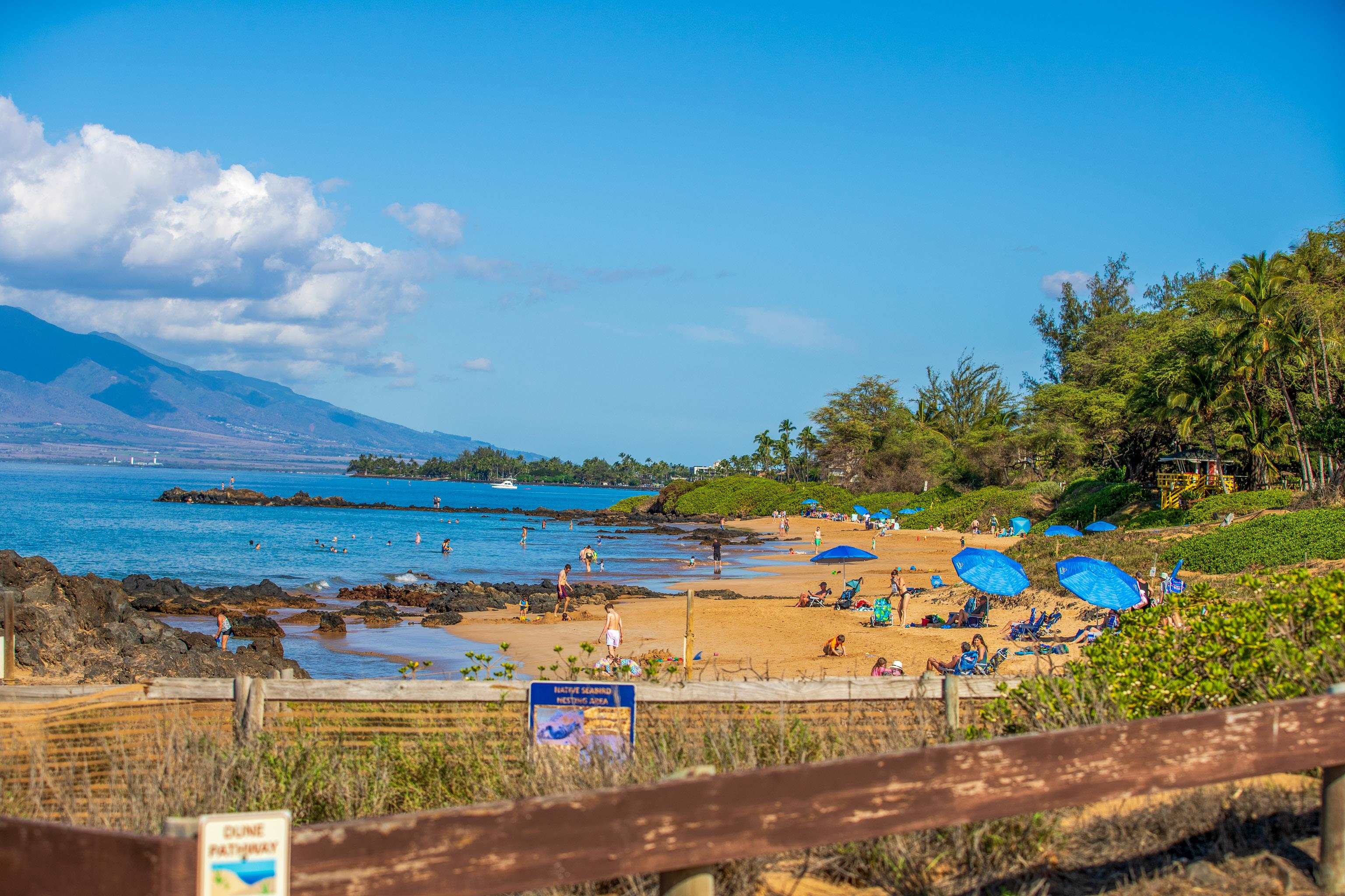 Kamaole Sands condo # 10-408, Kihei, Hawaii - photo 43 of 50