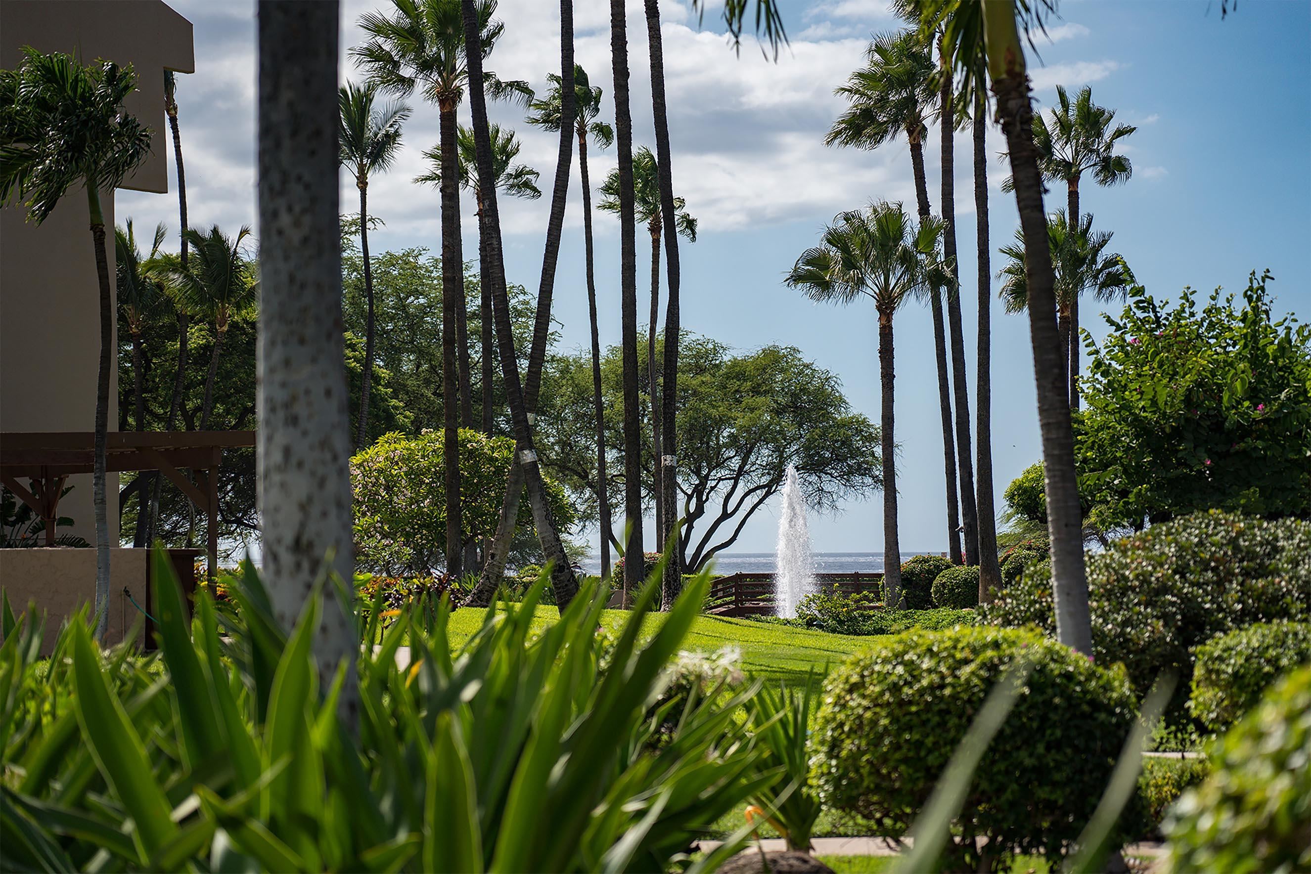 Kamaole Sands condo # 3-202, Kihei, Hawaii - photo 39 of 44